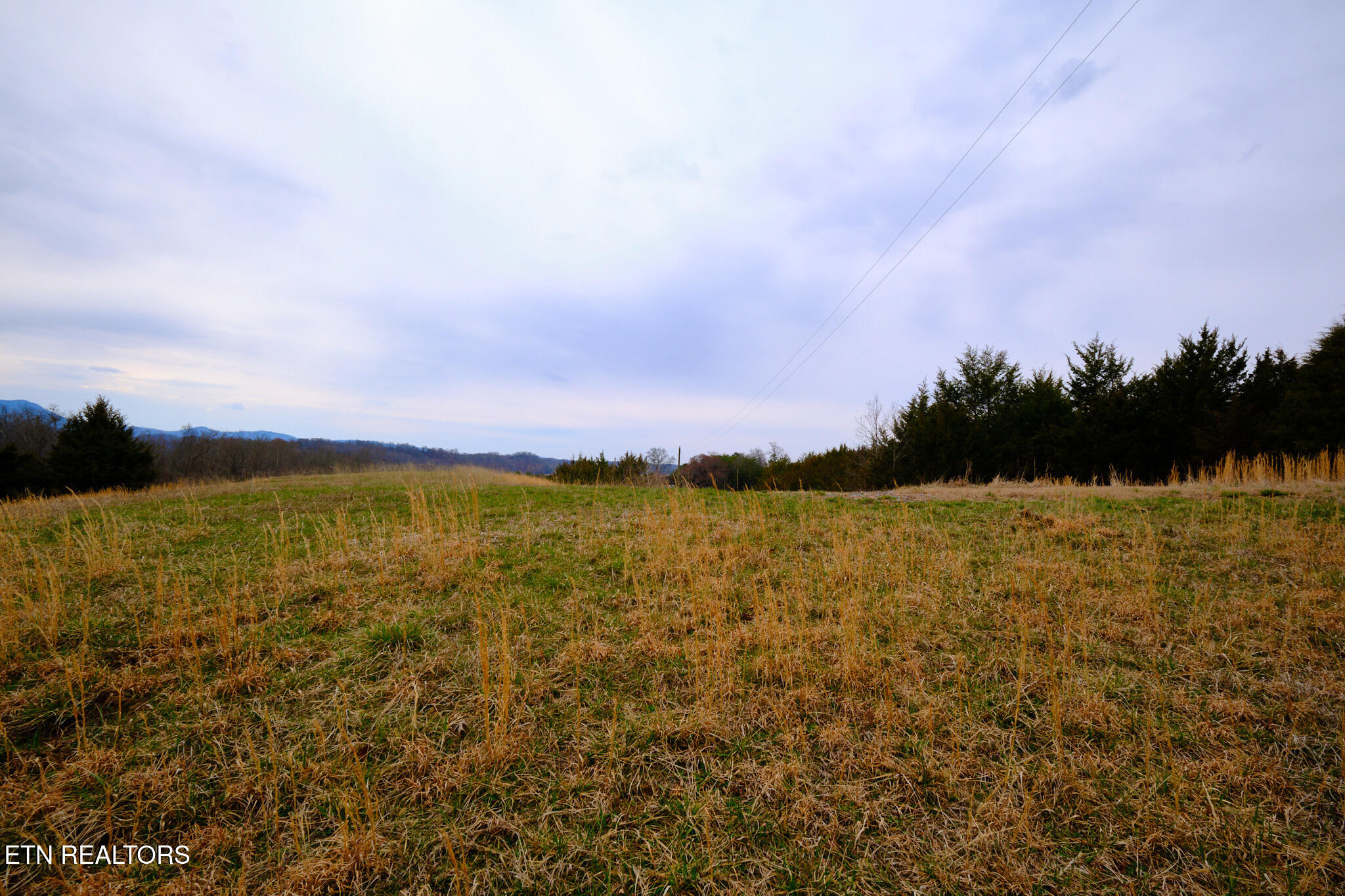 1440 Swannsylvania Road Dandridge TN 37725