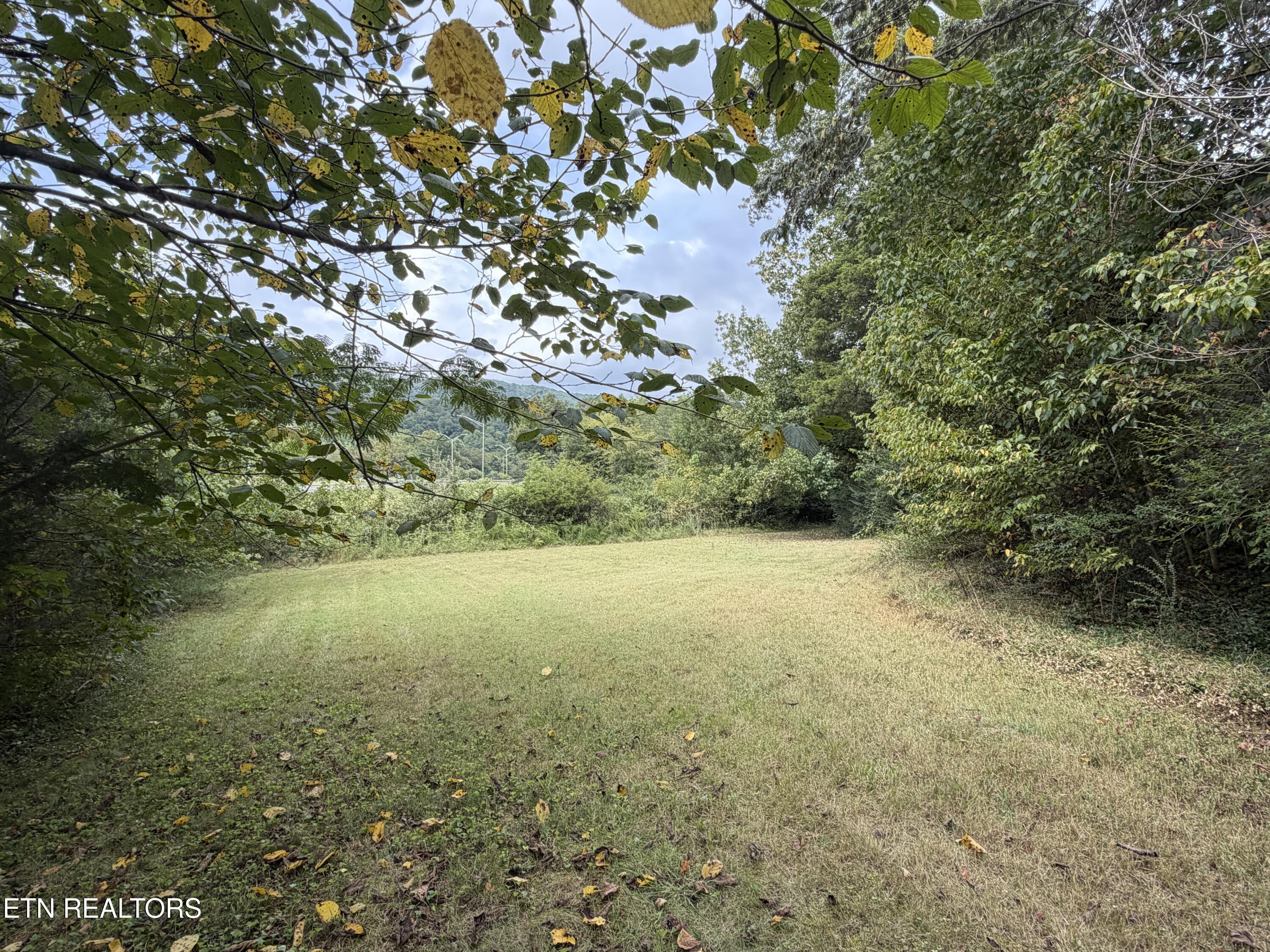 201 Hillcrest Avenue Rocky Top TN 37769
