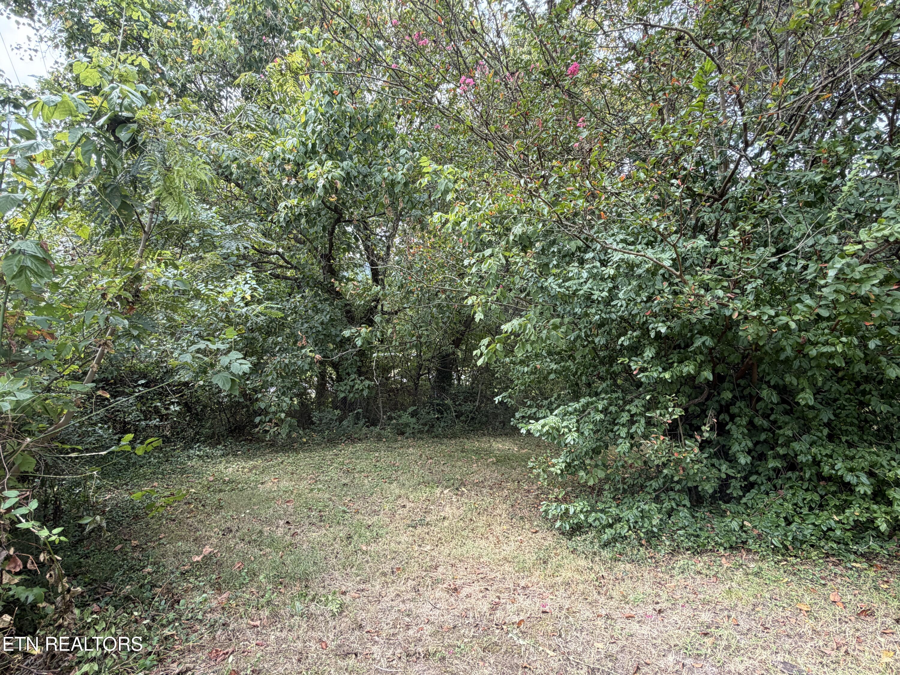 201 Hillcrest Avenue Rocky Top TN 37769