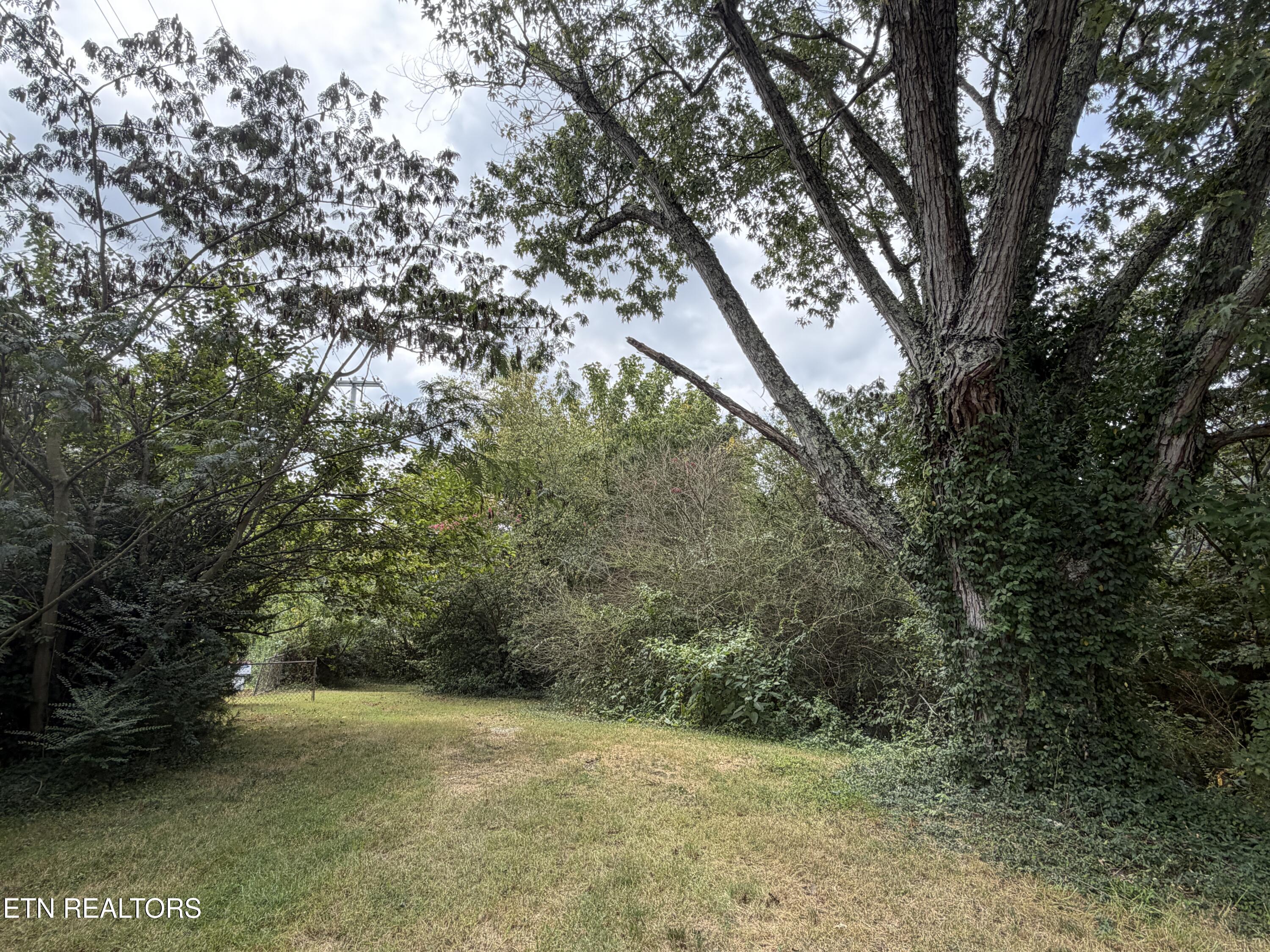 201 Hillcrest Avenue Rocky Top TN 37769