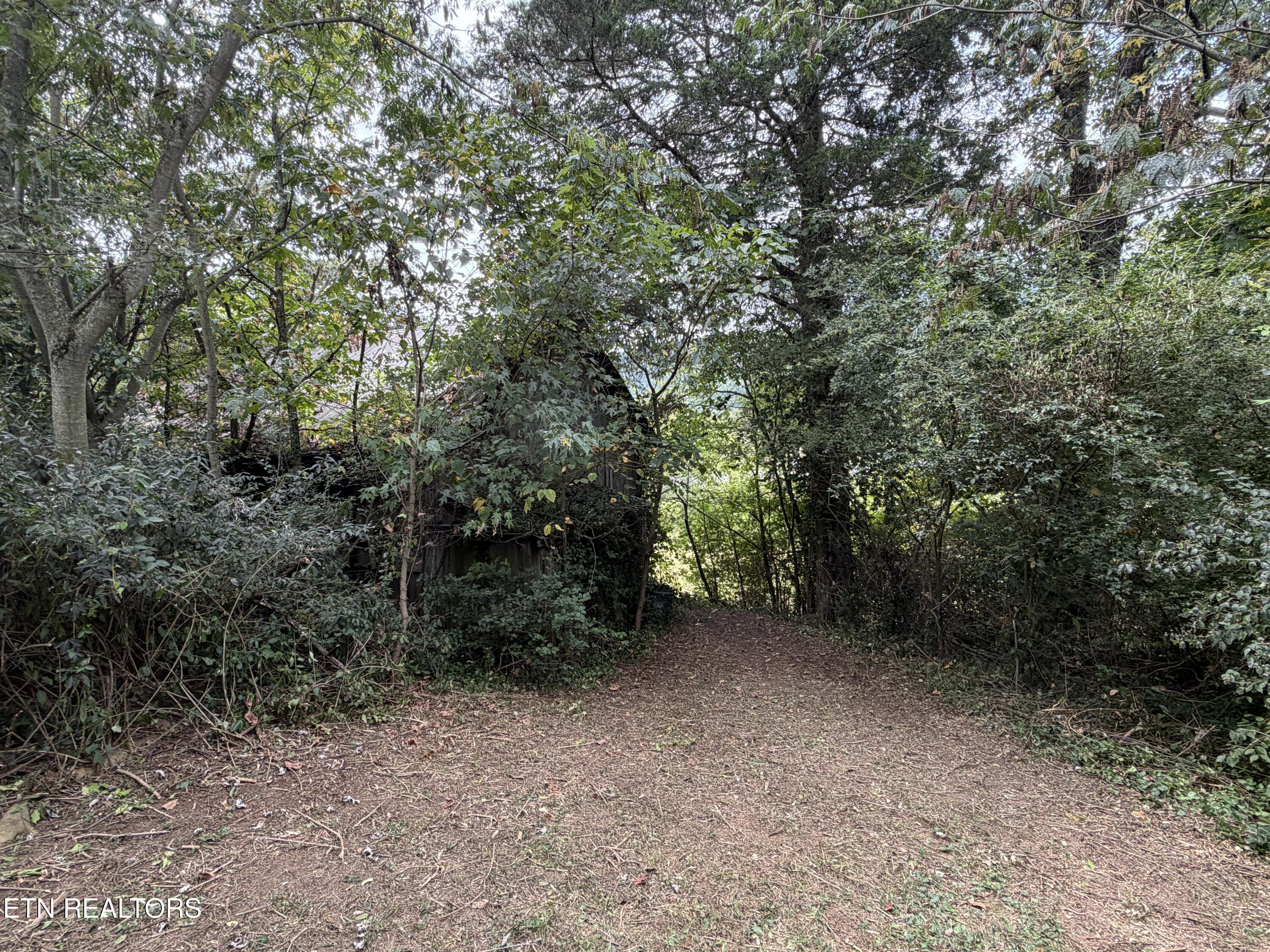 201 Hillcrest Avenue Rocky Top TN 37769