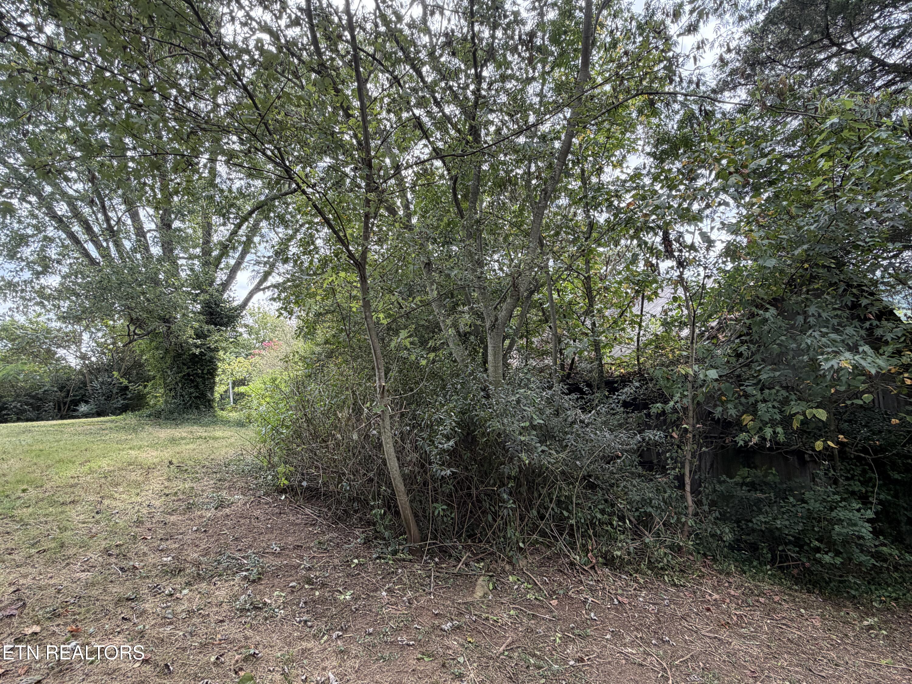 201 Hillcrest Avenue Rocky Top TN 37769