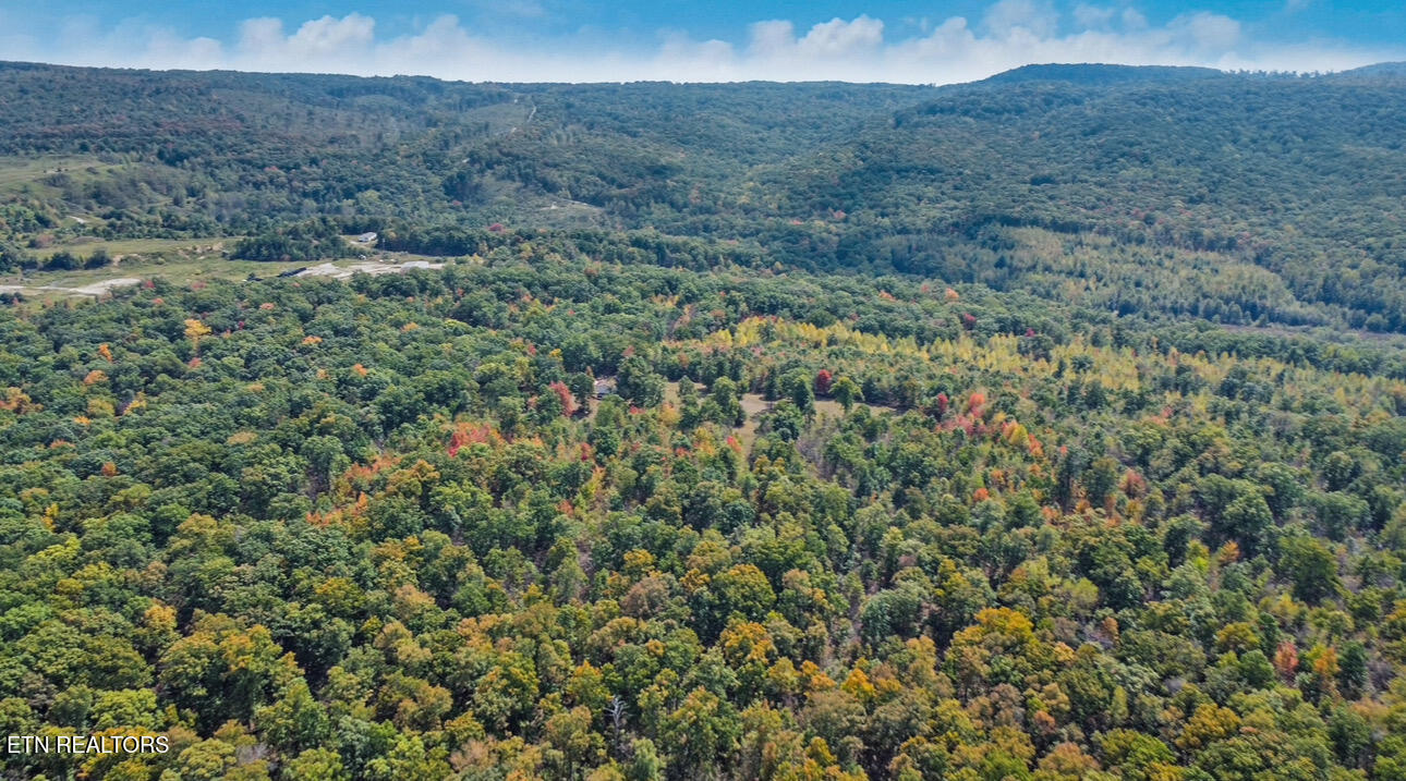 6436 Smith Mountain Road Crab Orchard TN 37723