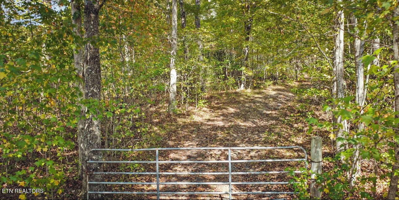 6436 Smith Mountain Road Crab Orchard TN 37723