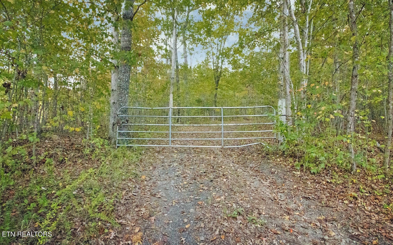 6436 Smith Mountain Road Crab Orchard TN 37723