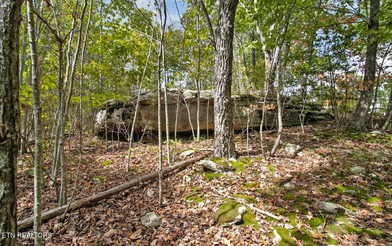 6436 Smith Mountain Road Crab Orchard TN 37723
