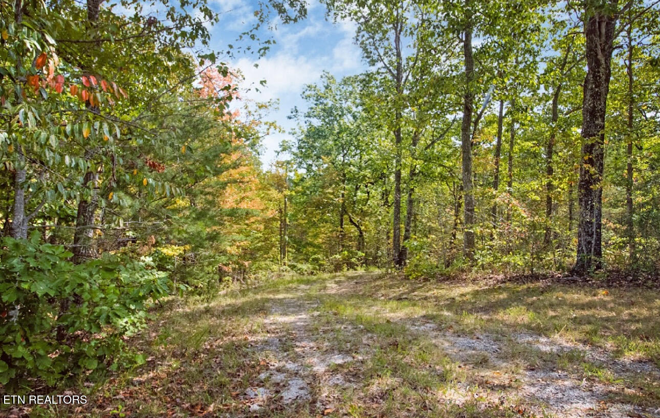 6436 Smith Mountain Road Crab Orchard TN 37723