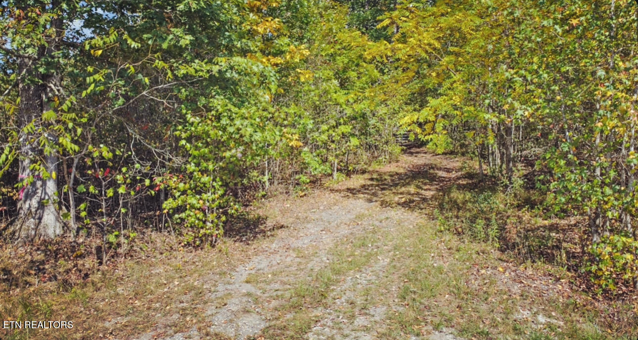 6436 Smith Mountain Road Crab Orchard TN 37723