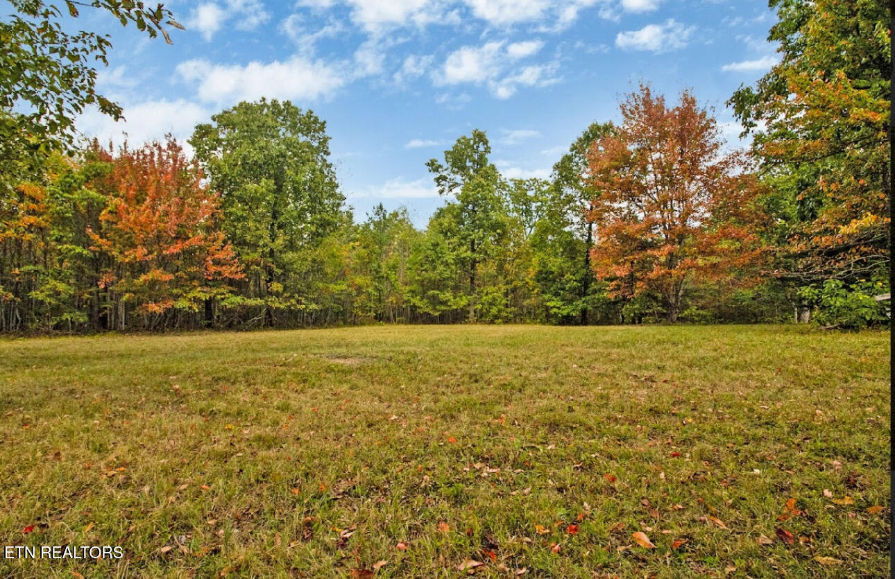 6436 Smith Mountain Road Crab Orchard TN 37723