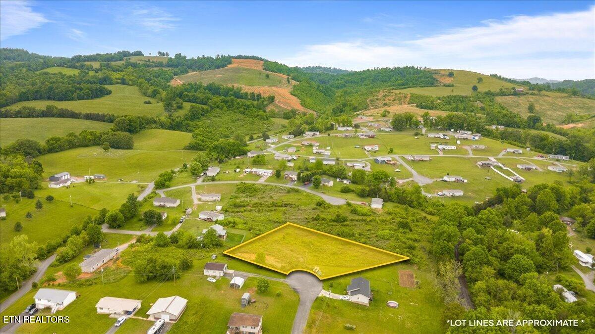Jean Woods Tazewell TN 37879