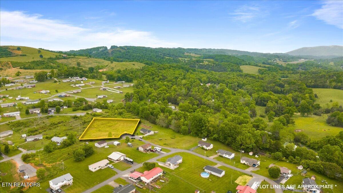 Jean Woods Tazewell TN 37879