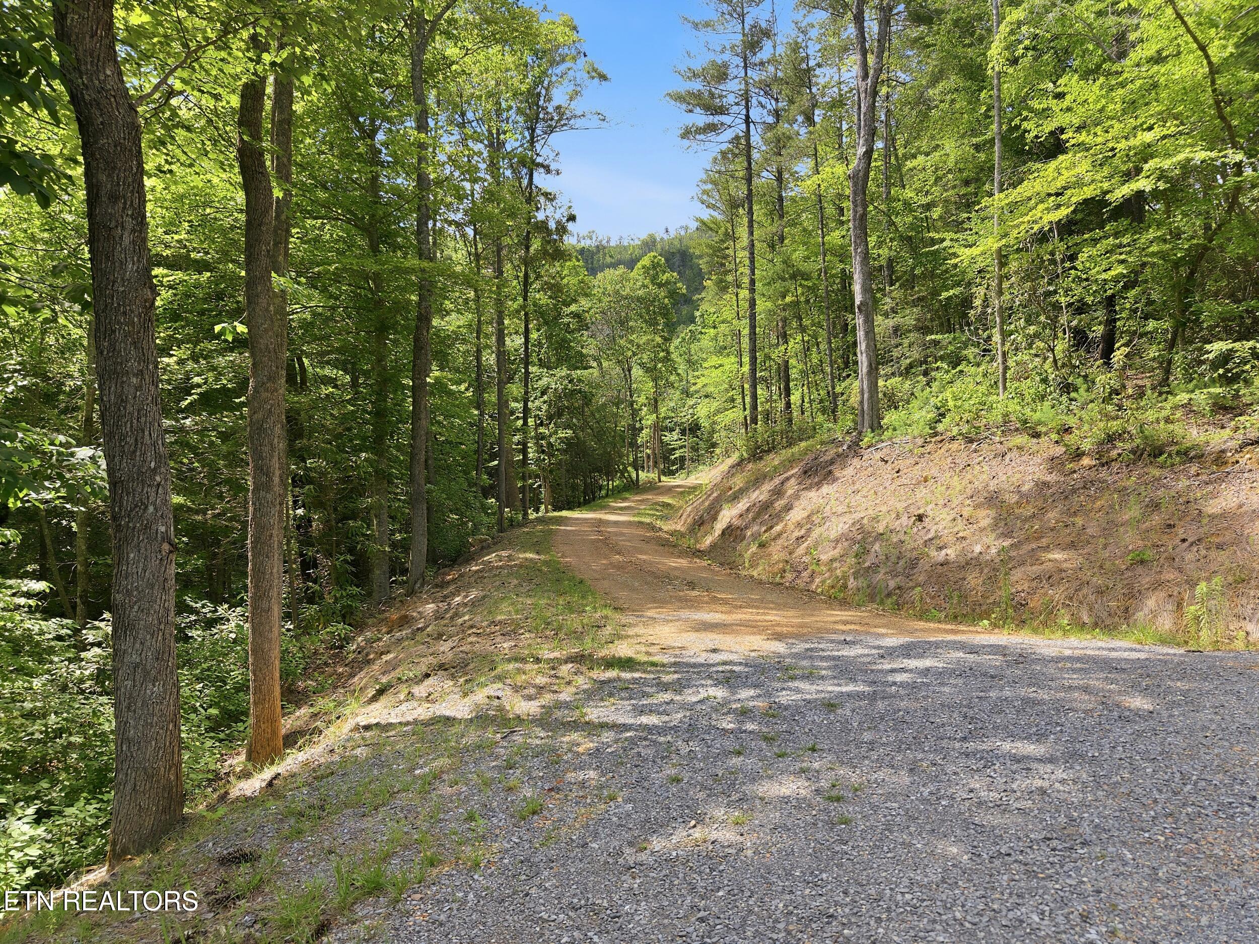 909 The Loop Road Walland TN 37886
