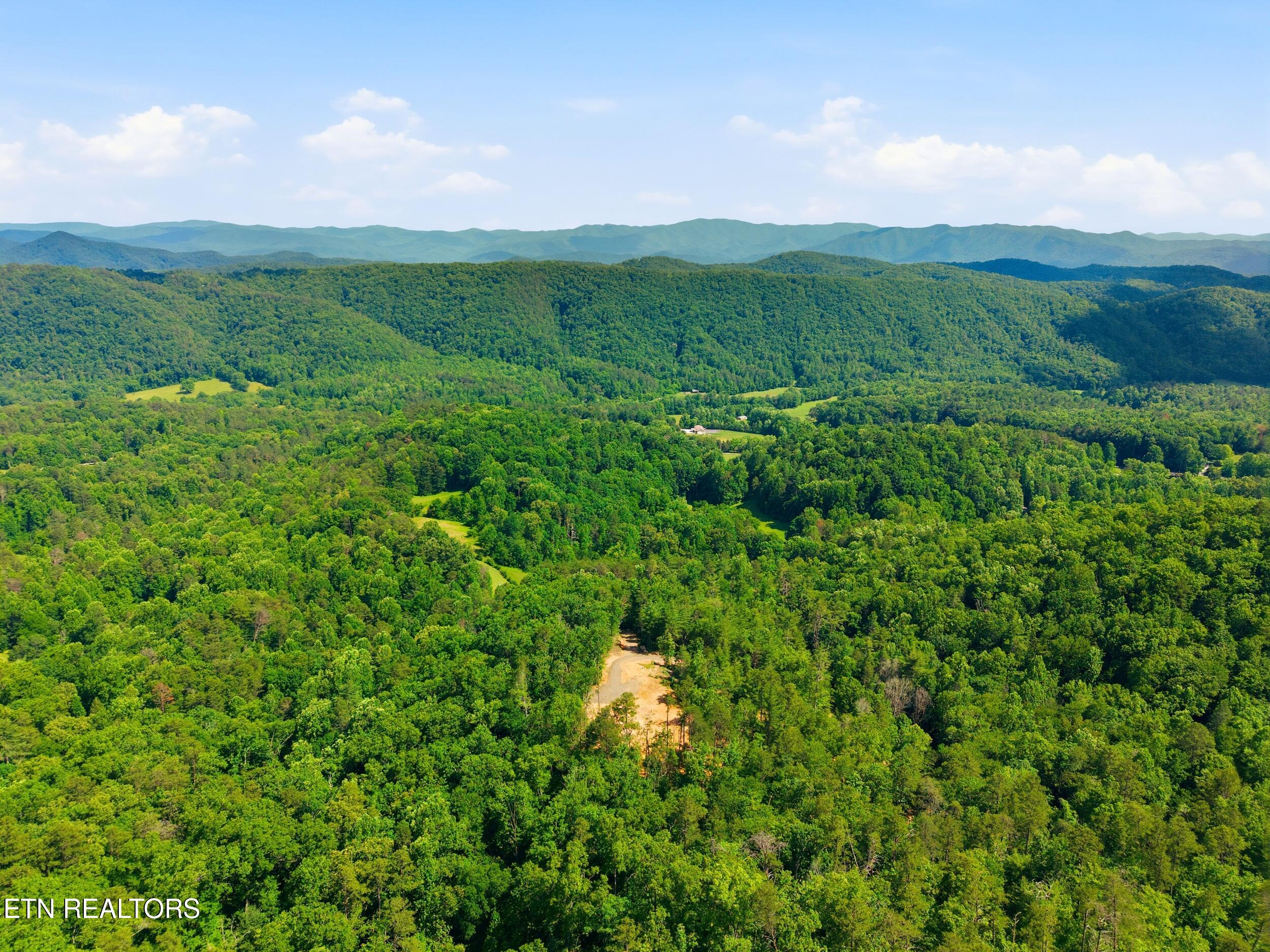 909 The Loop Road Walland TN 37886