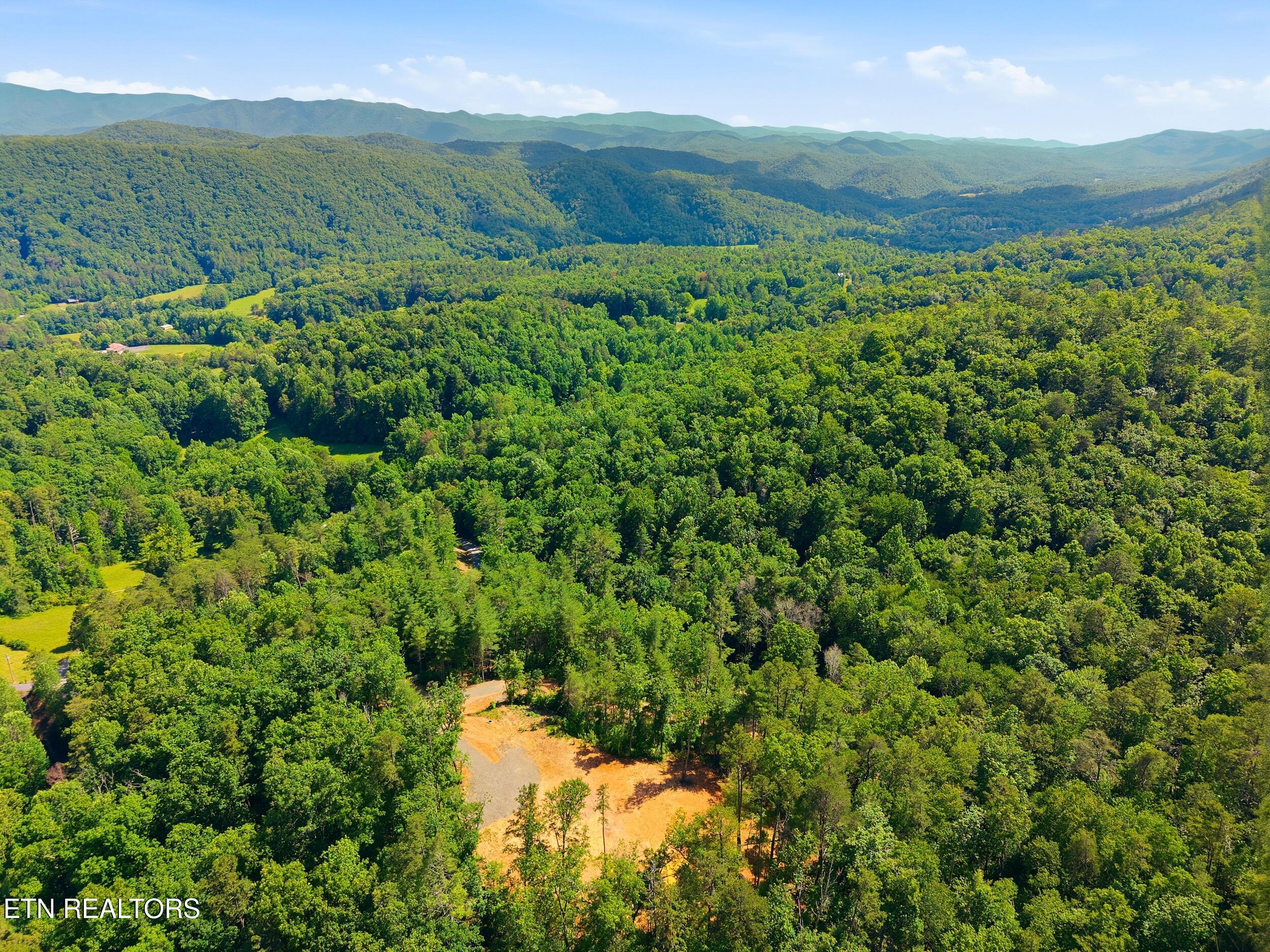 909 The Loop Road Walland TN 37886