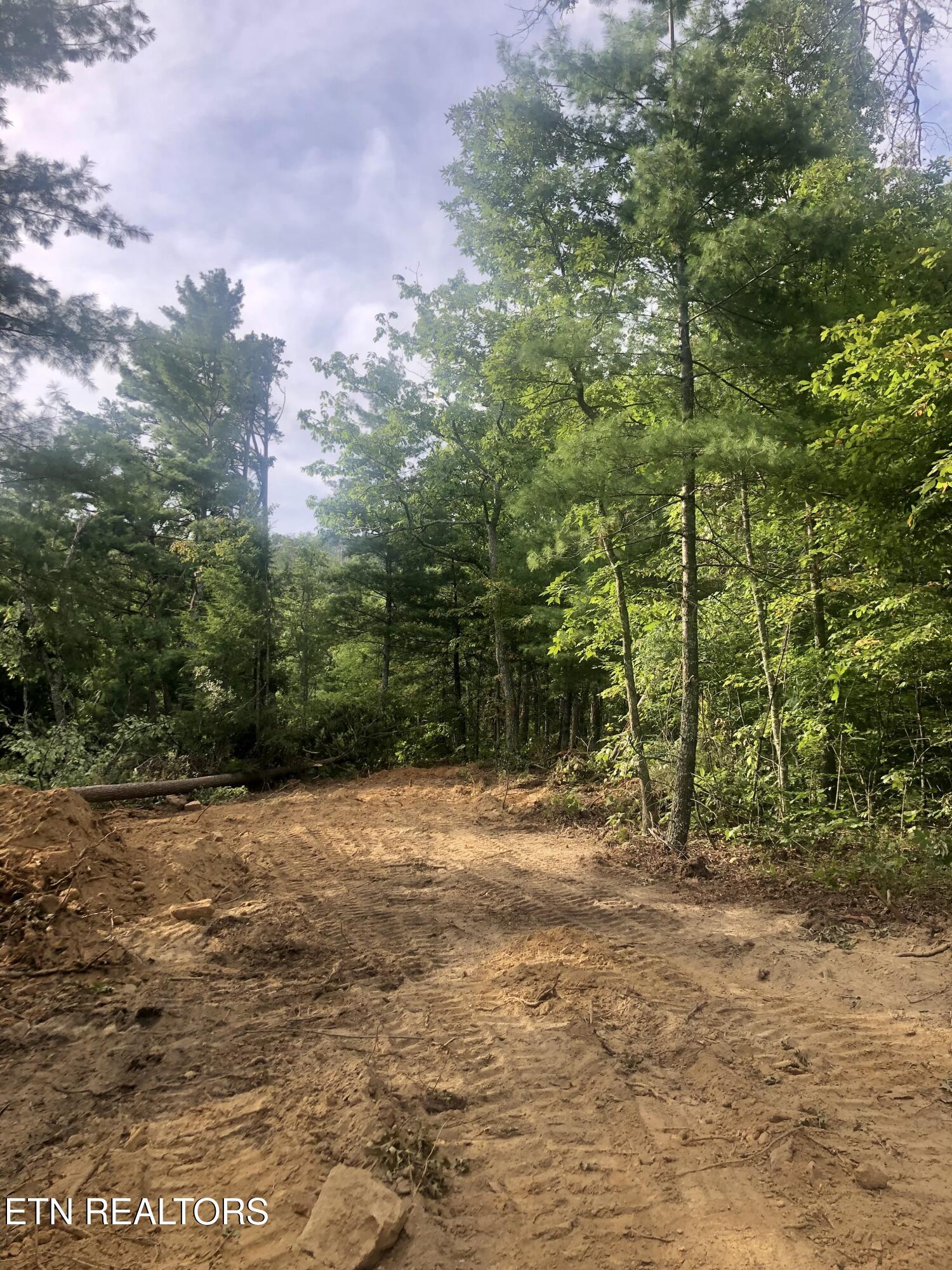 909 The Loop Road Walland TN 37886