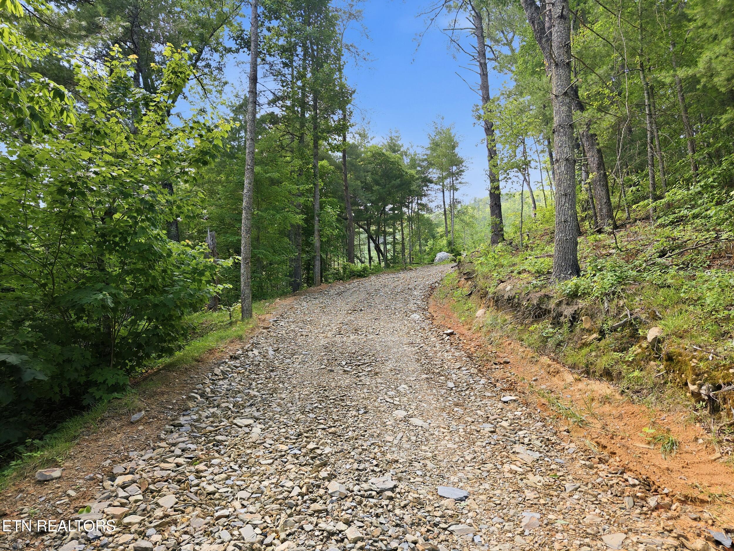 909 The Loop Road Walland TN 37886