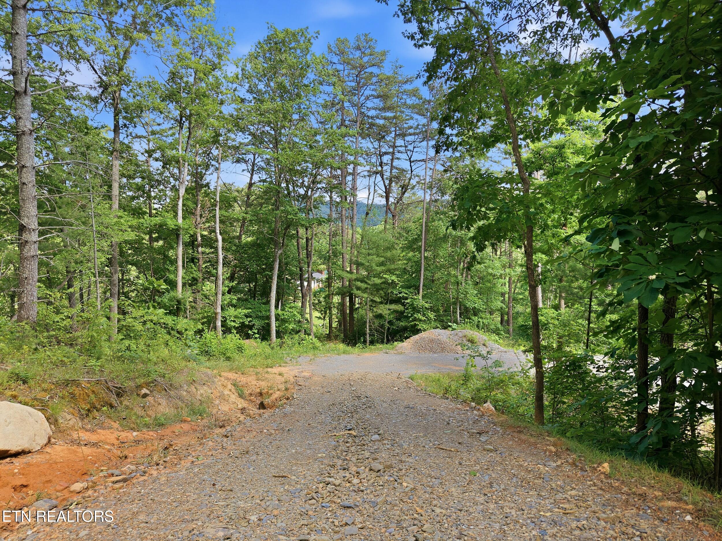 909 The Loop Road Walland TN 37886