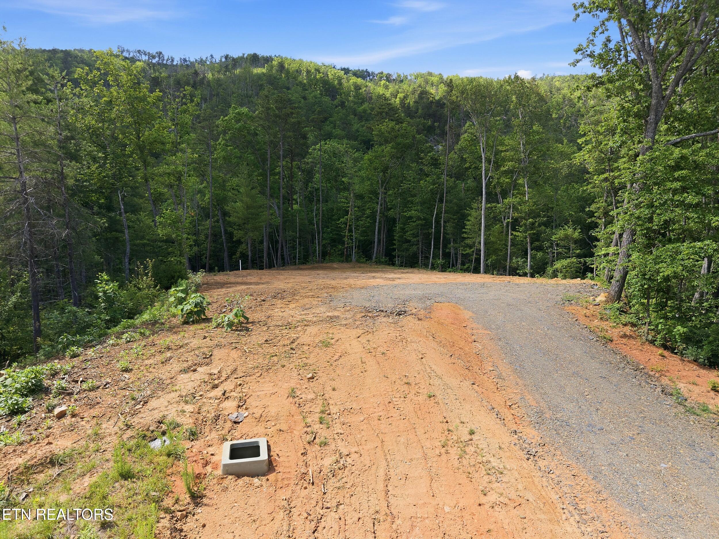 909 The Loop Road Walland TN 37886