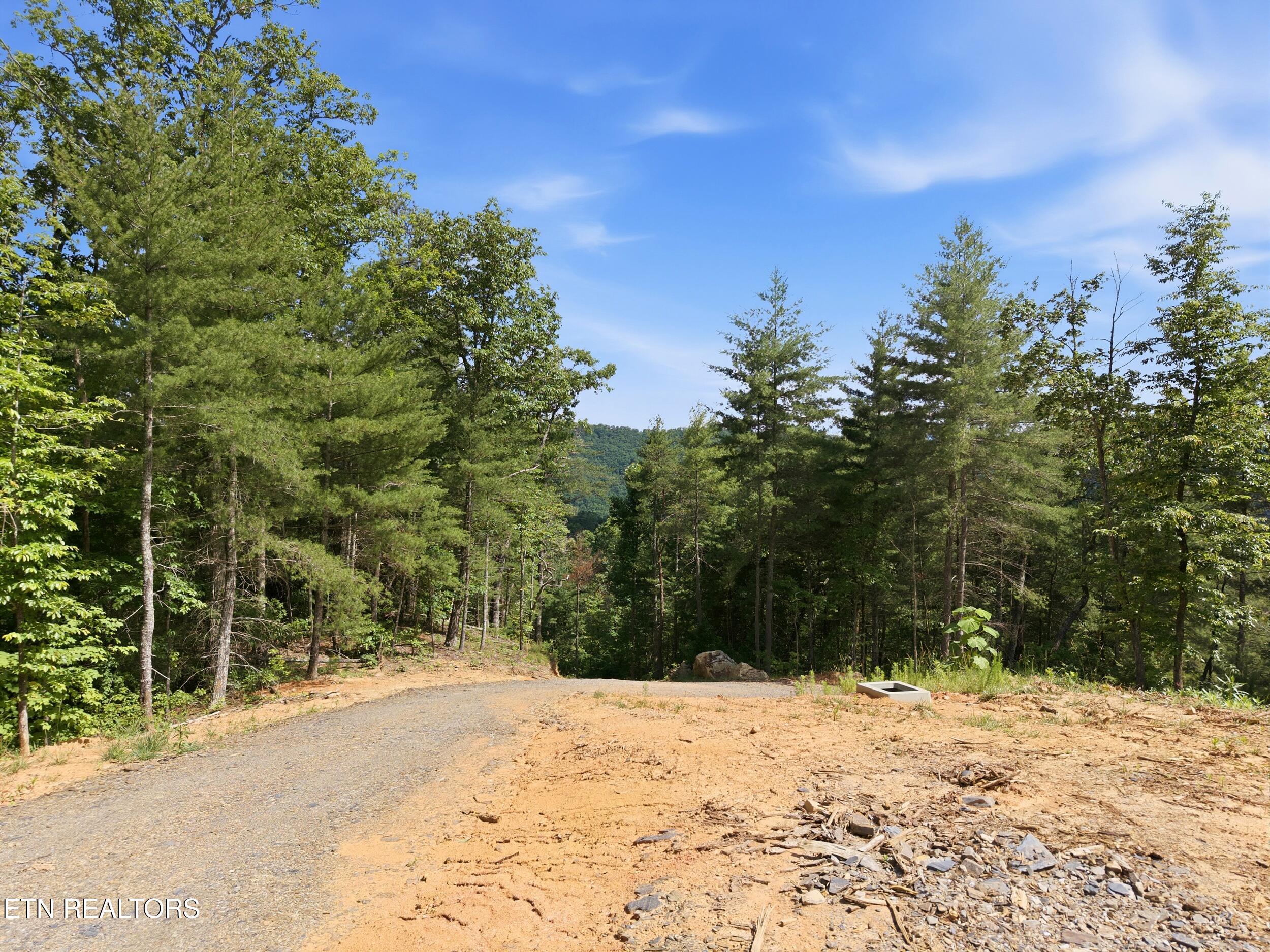 909 The Loop Road Walland TN 37886