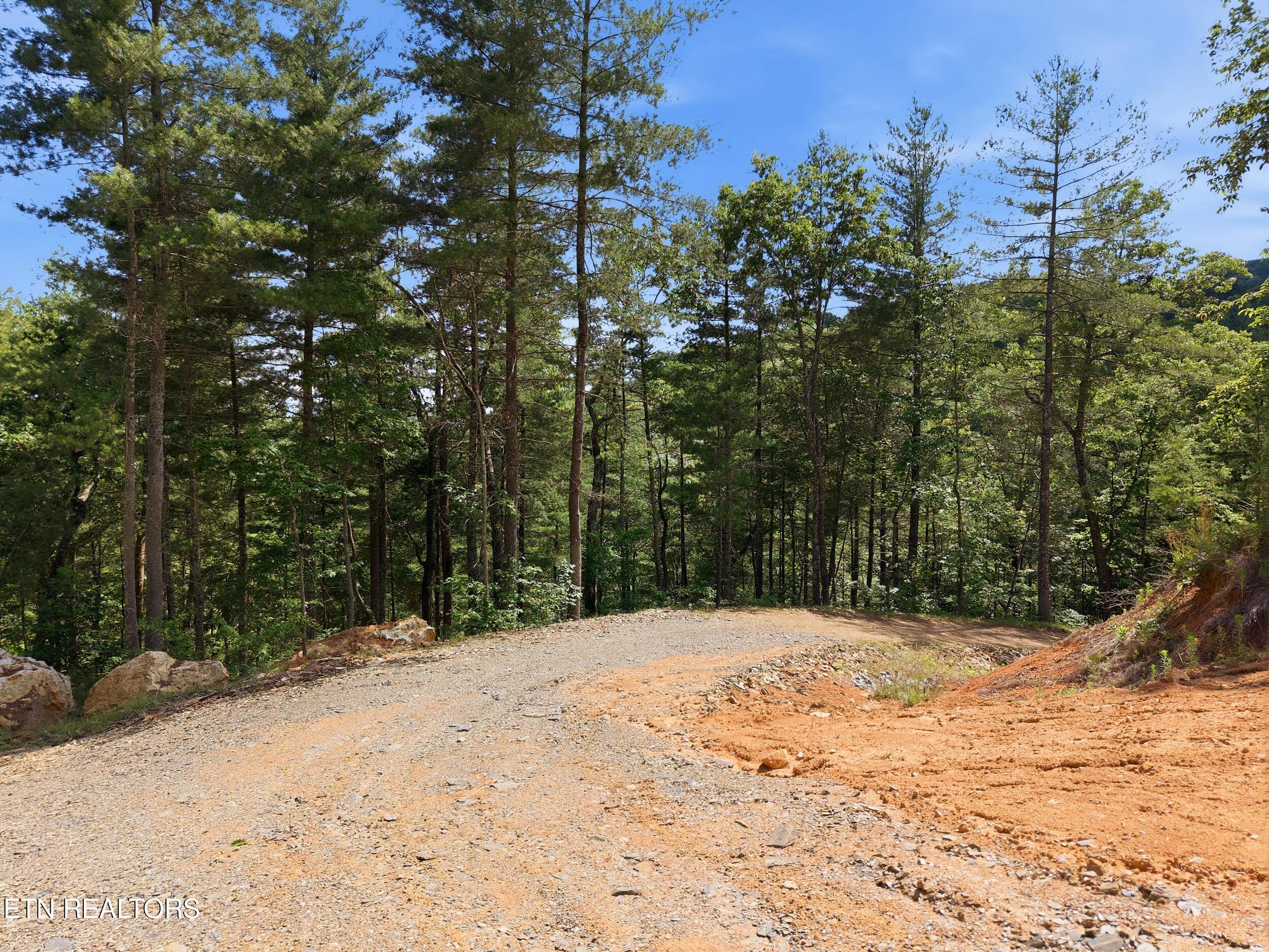 909 The Loop Road Walland TN 37886