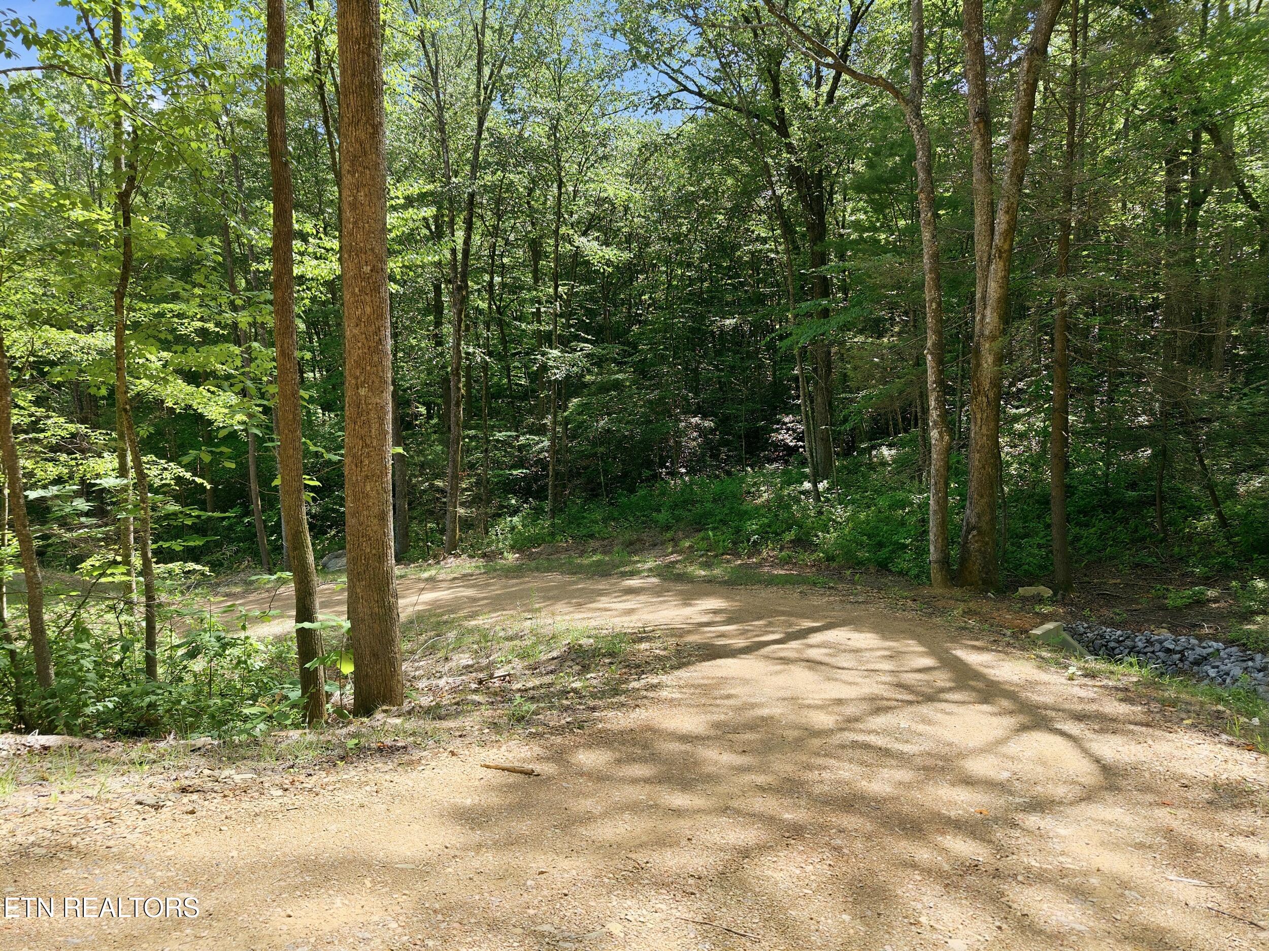 909 The Loop Road Walland TN 37886