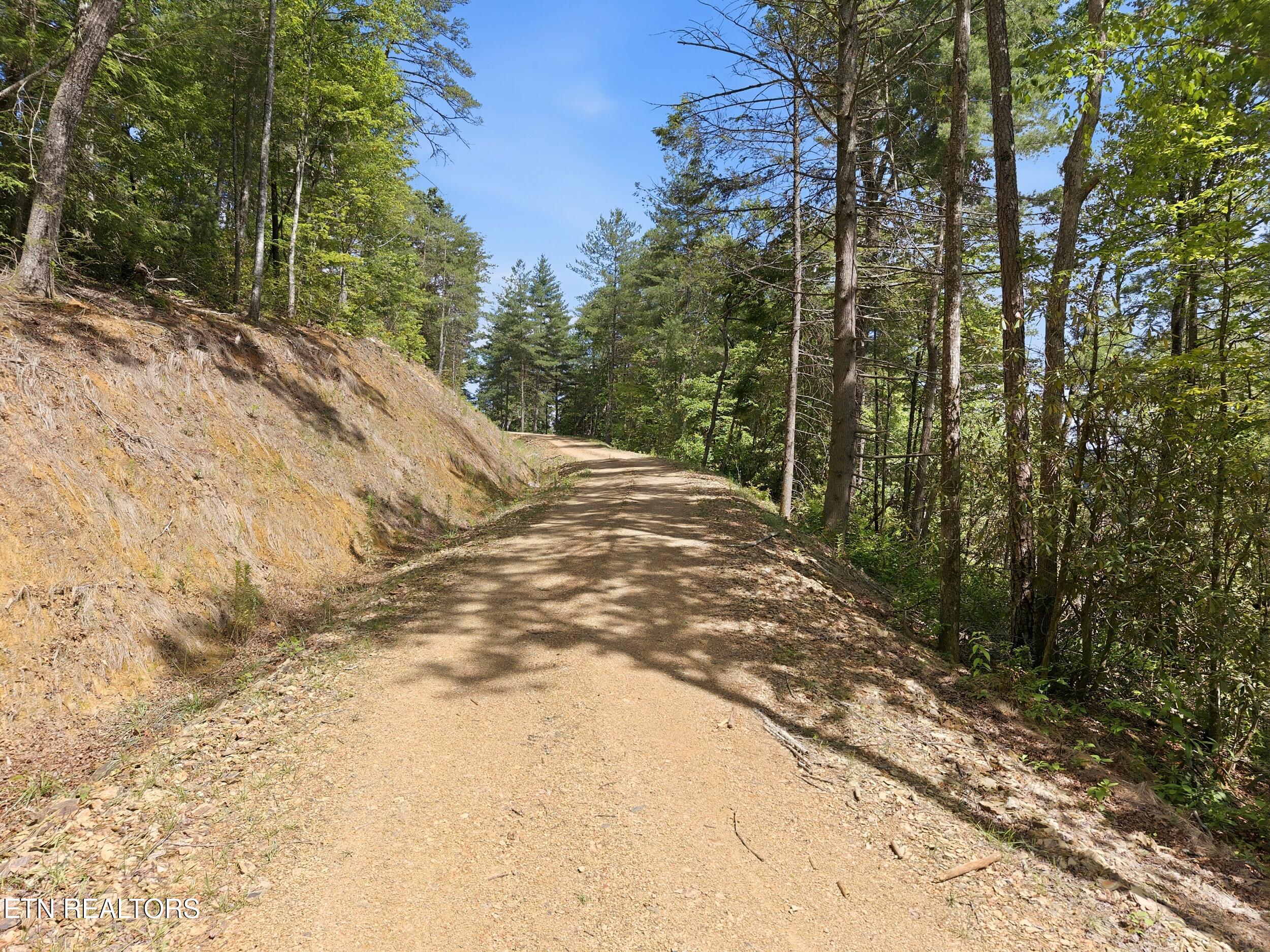 909 The Loop Road Walland TN 37886