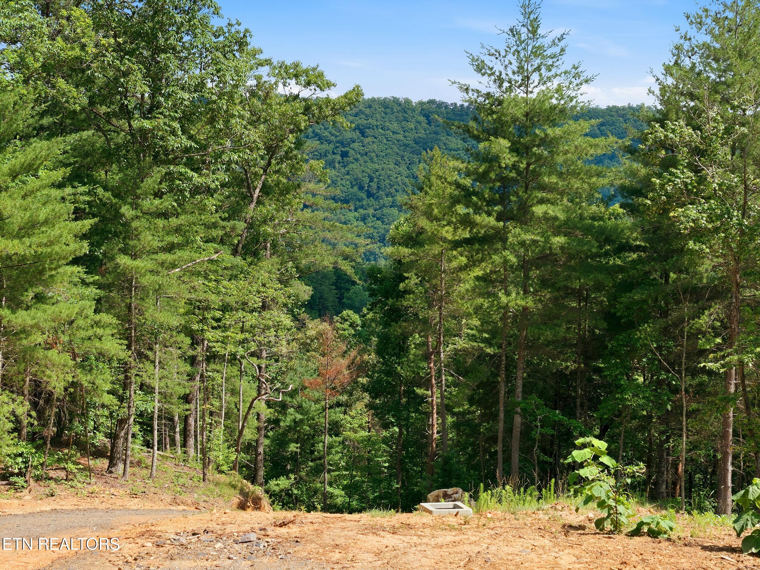 909 The Loop Road Walland TN 37886