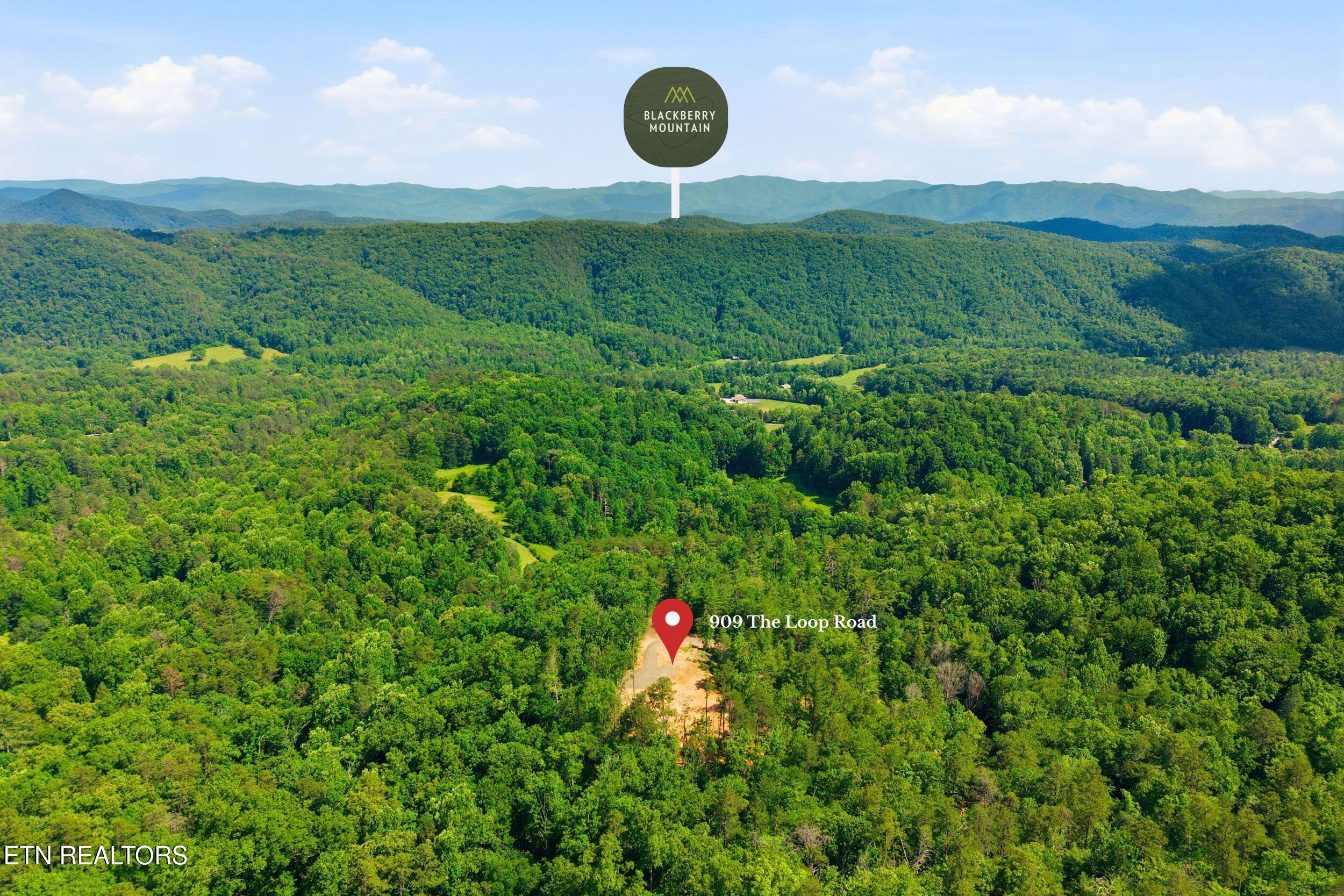 909 The Loop Road Walland TN 37886