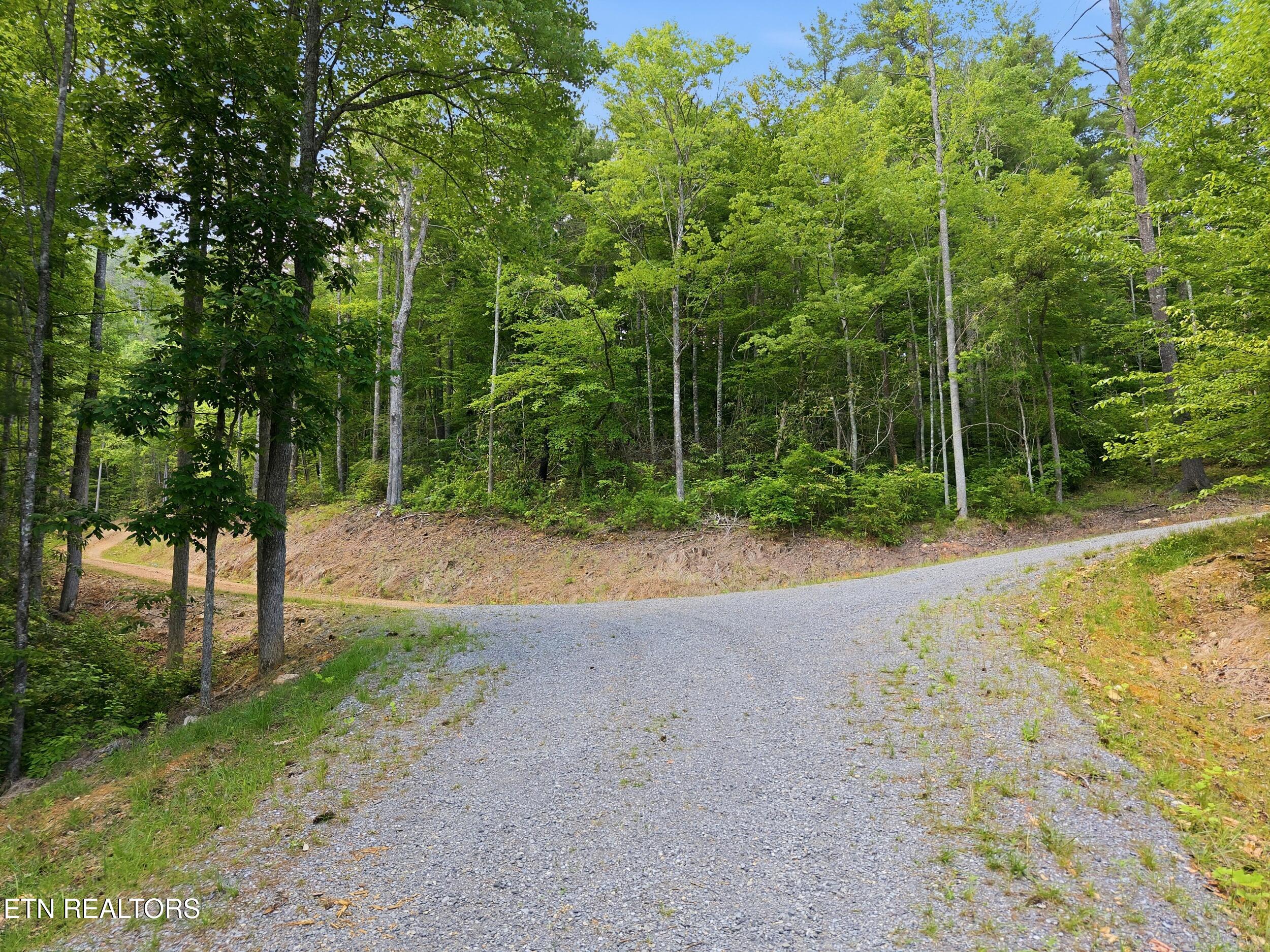 909 The Loop Road Walland TN 37886