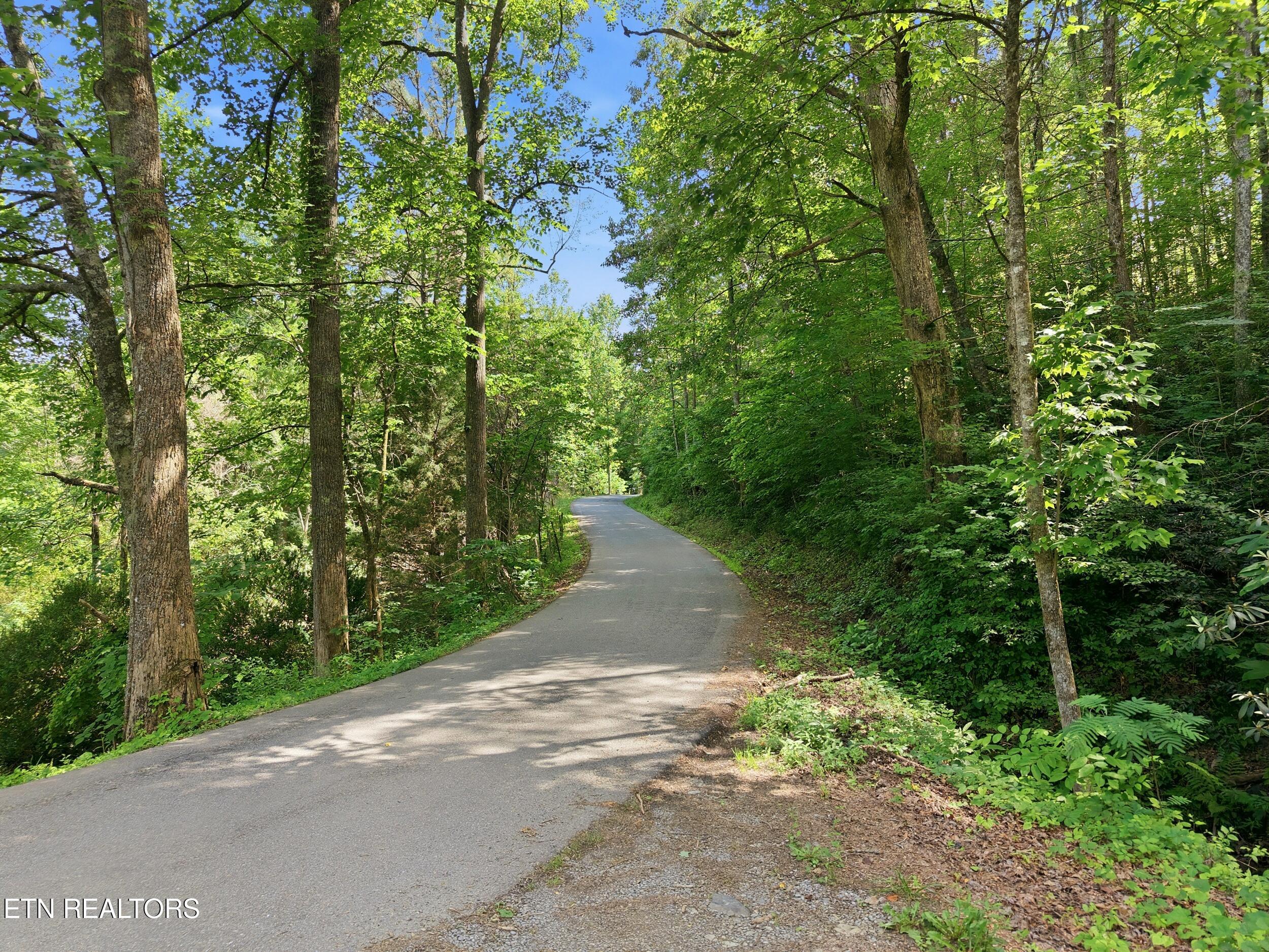 909 The Loop Road Walland TN 37886