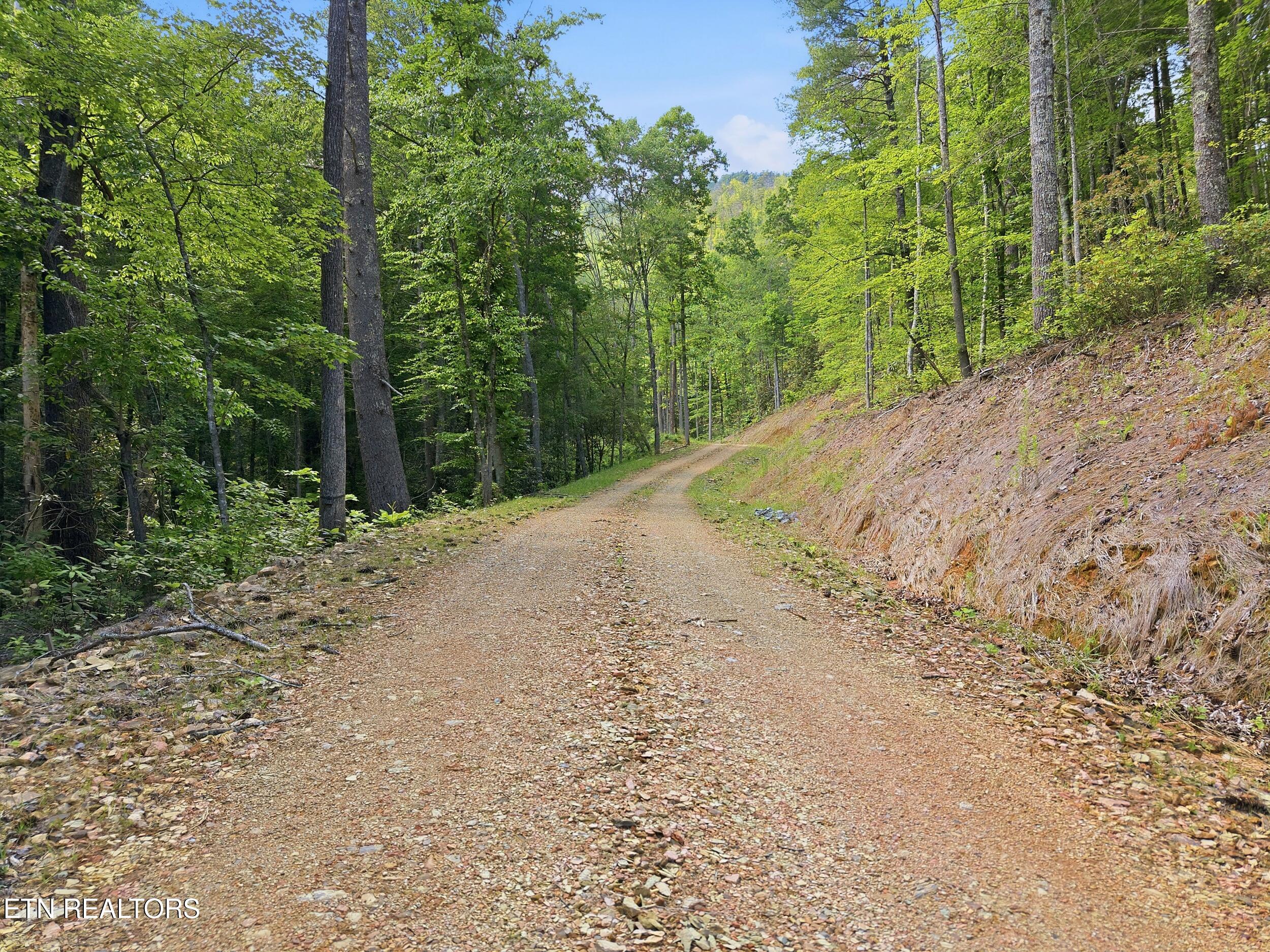 909 The Loop Road Walland TN 37886