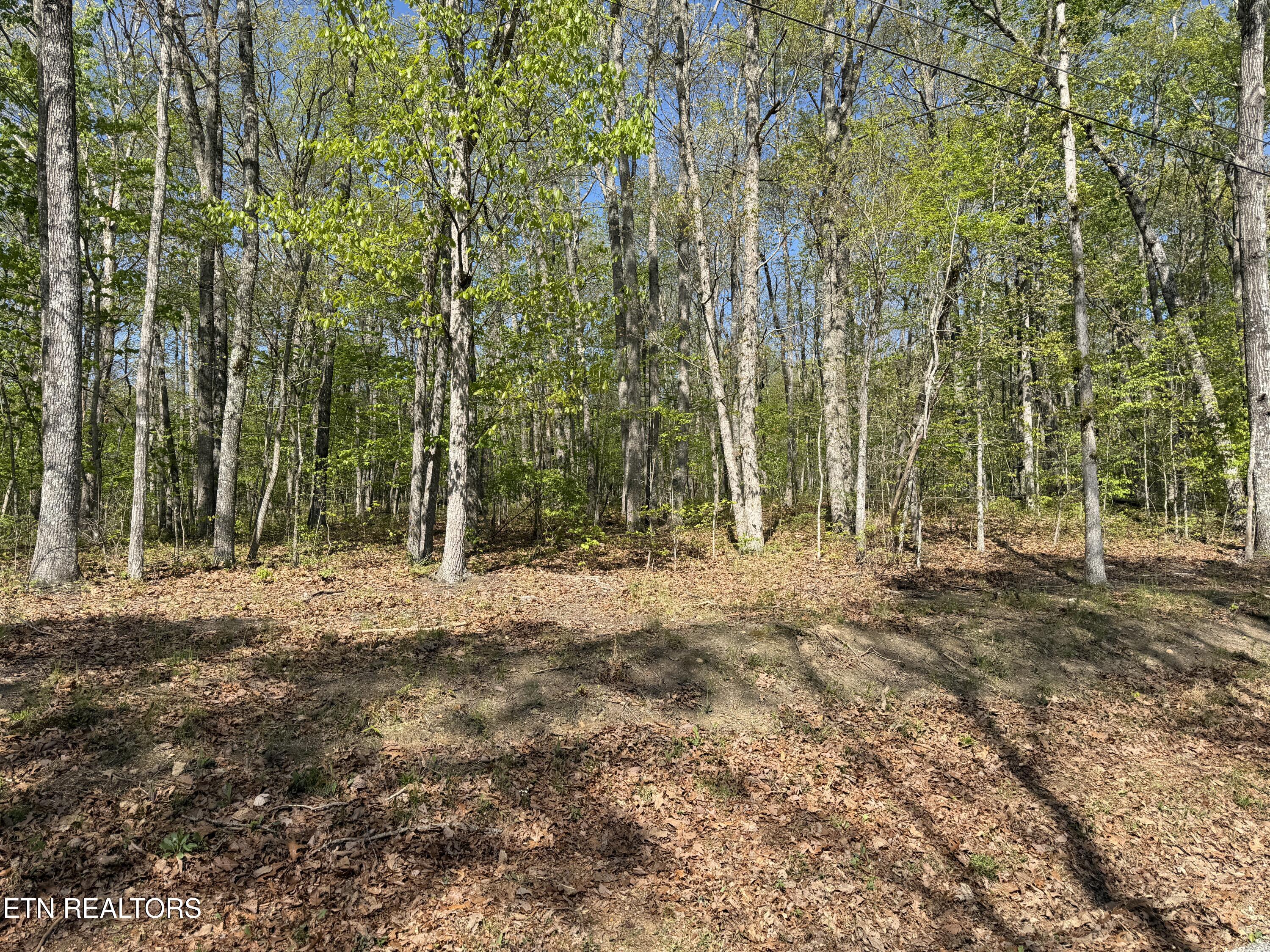 47&49 Cheshire Terrace Crossville TN 38558