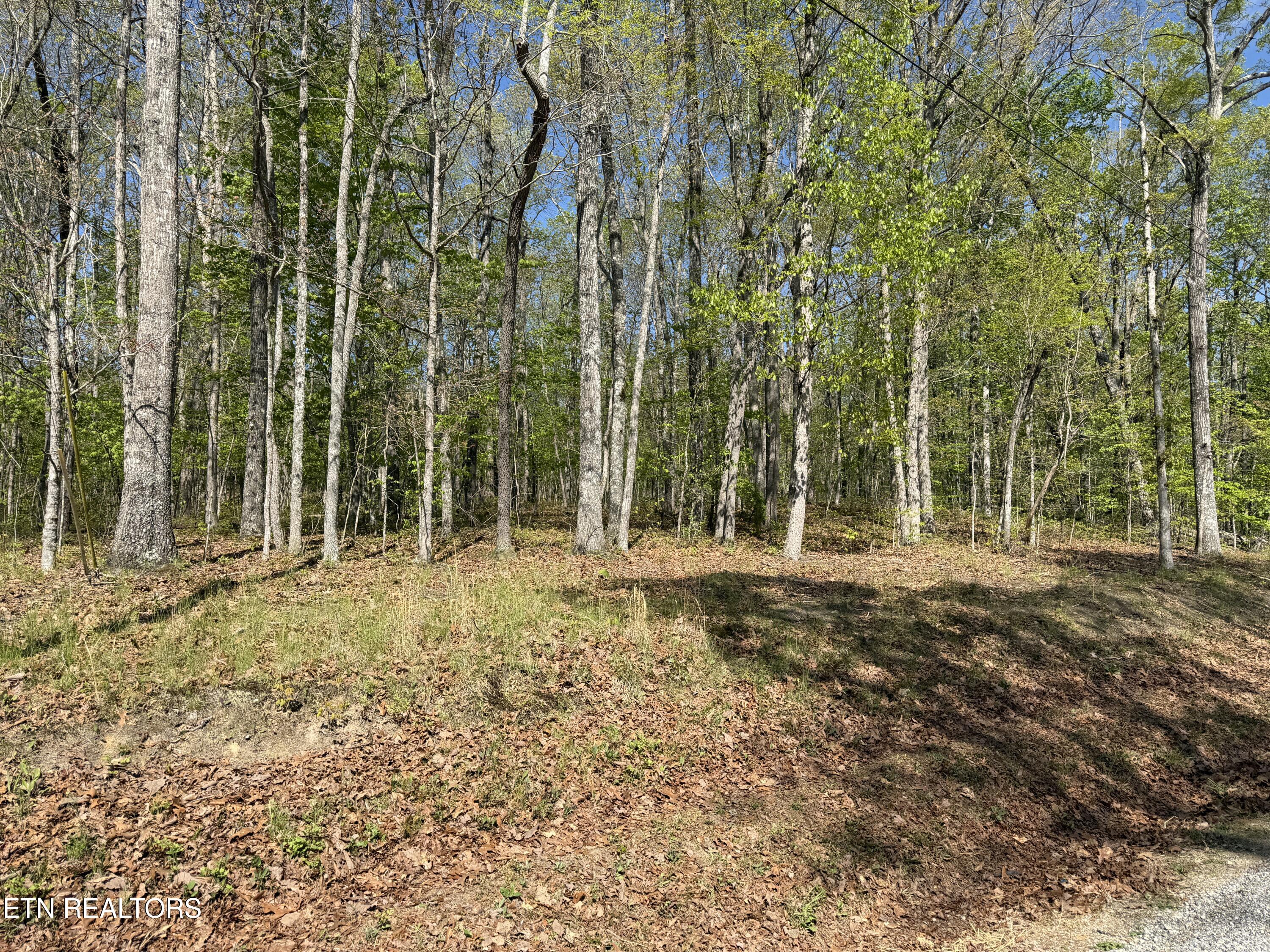 47&49 Cheshire Terrace Crossville TN 38558