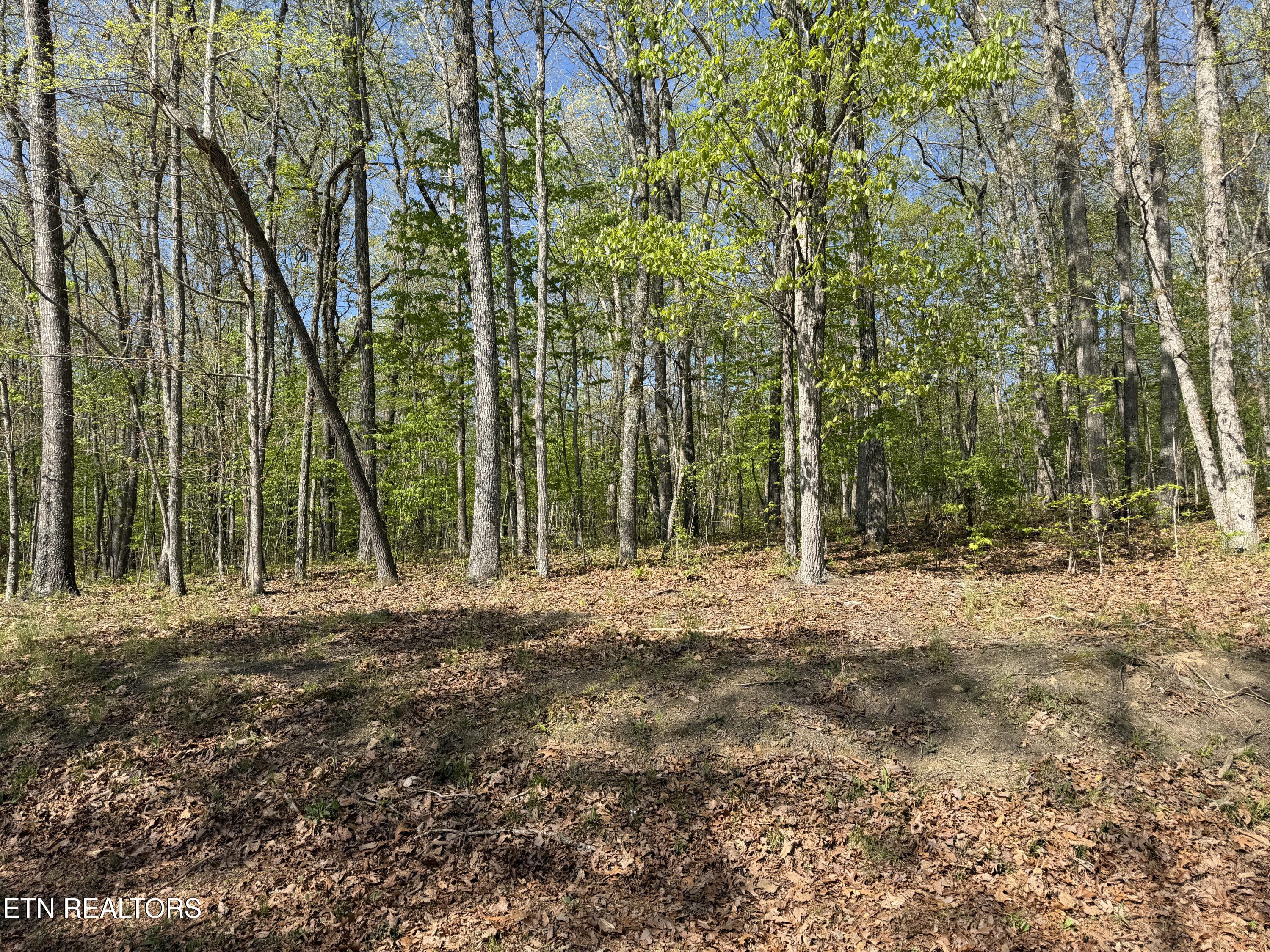 47&49 Cheshire Terrace Crossville TN 38558