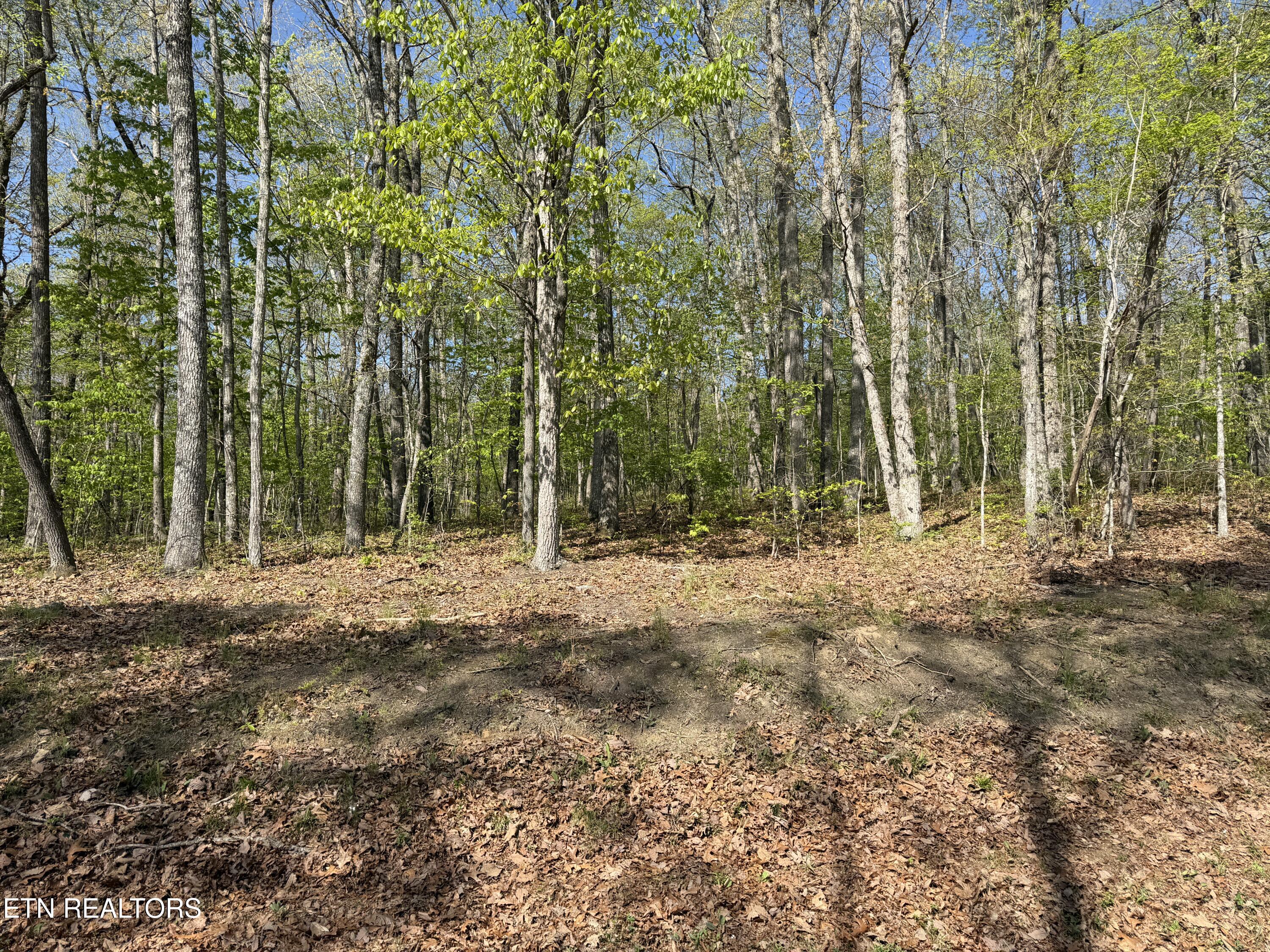 47&49 Cheshire Terrace Crossville TN 38558