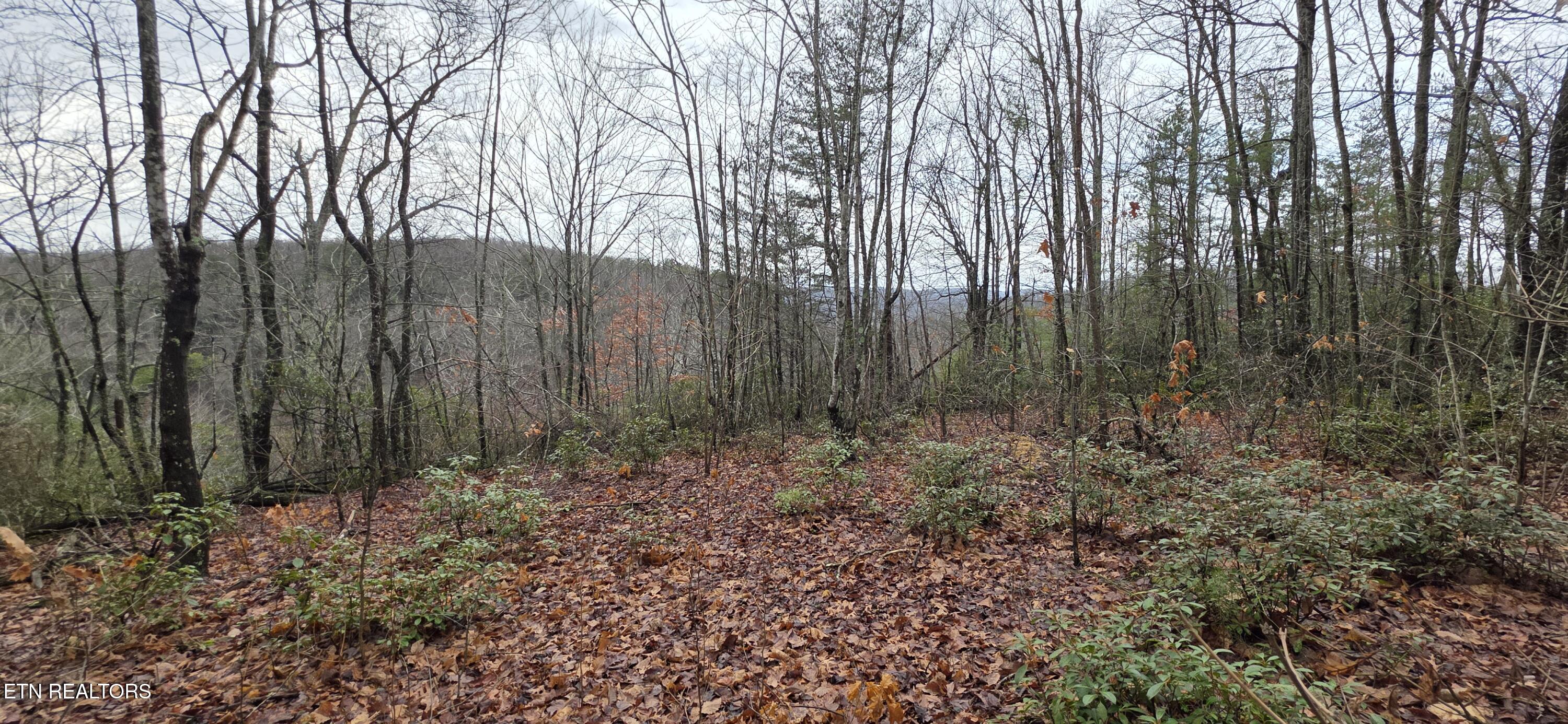 778 Eastridge Pass Monterey TN 38574