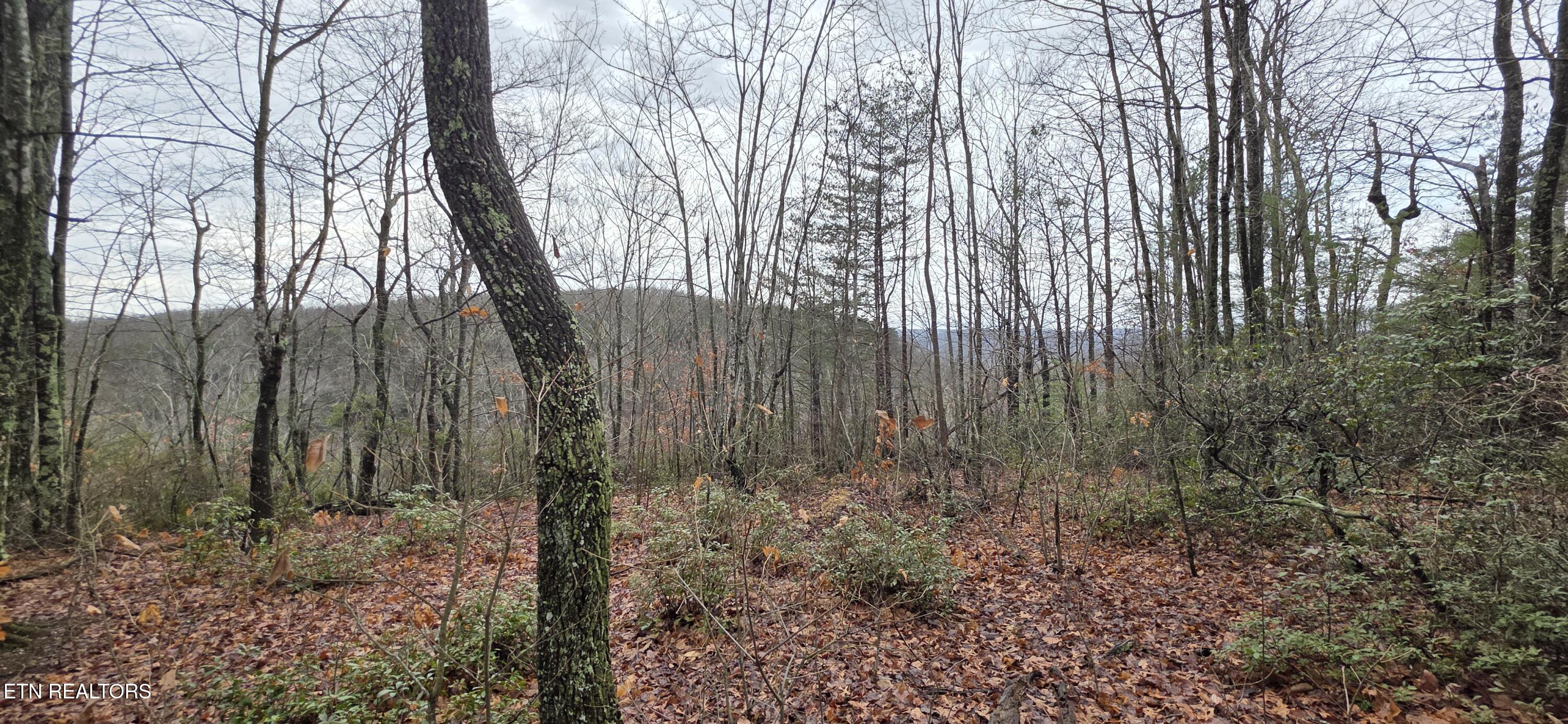 778 Eastridge Pass Monterey TN 38574