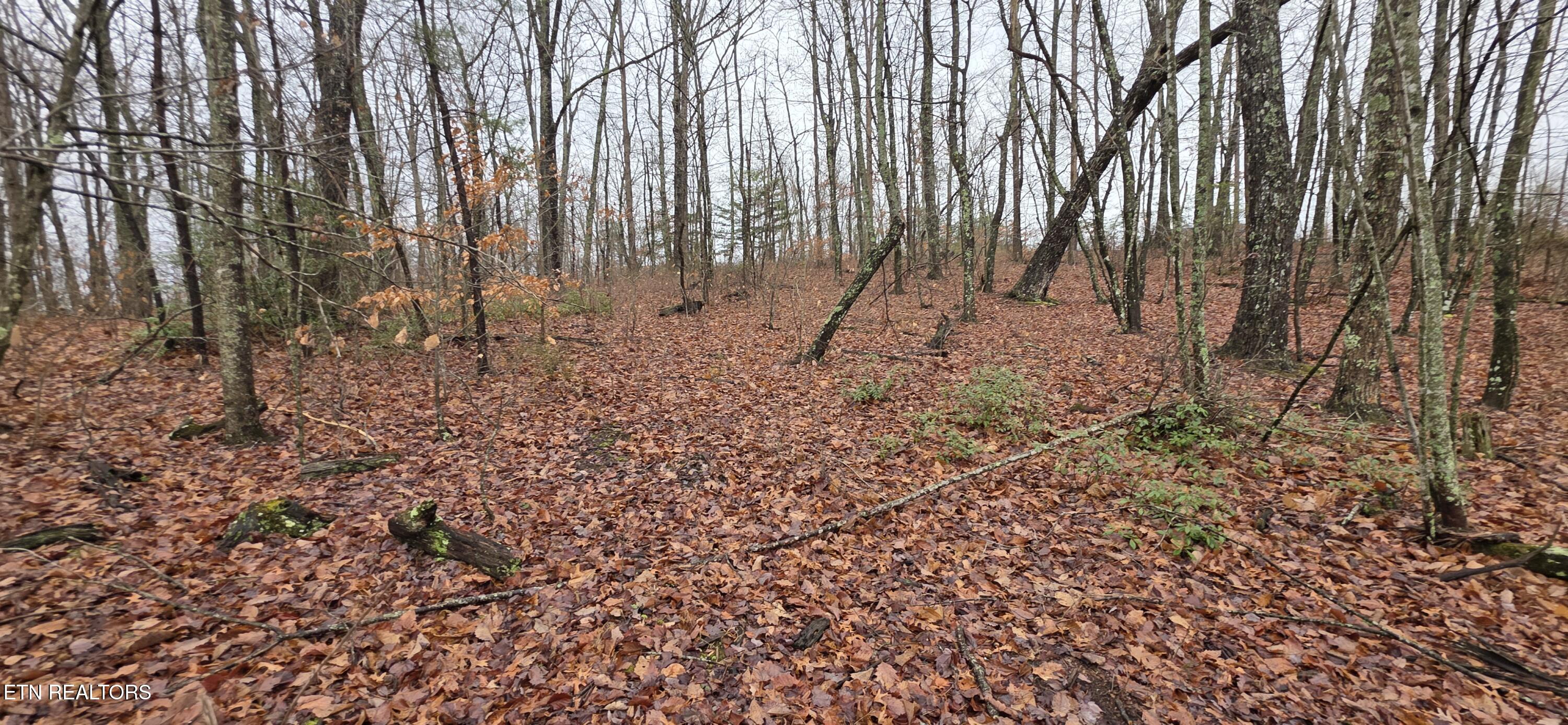 778 Eastridge Pass Monterey TN 38574