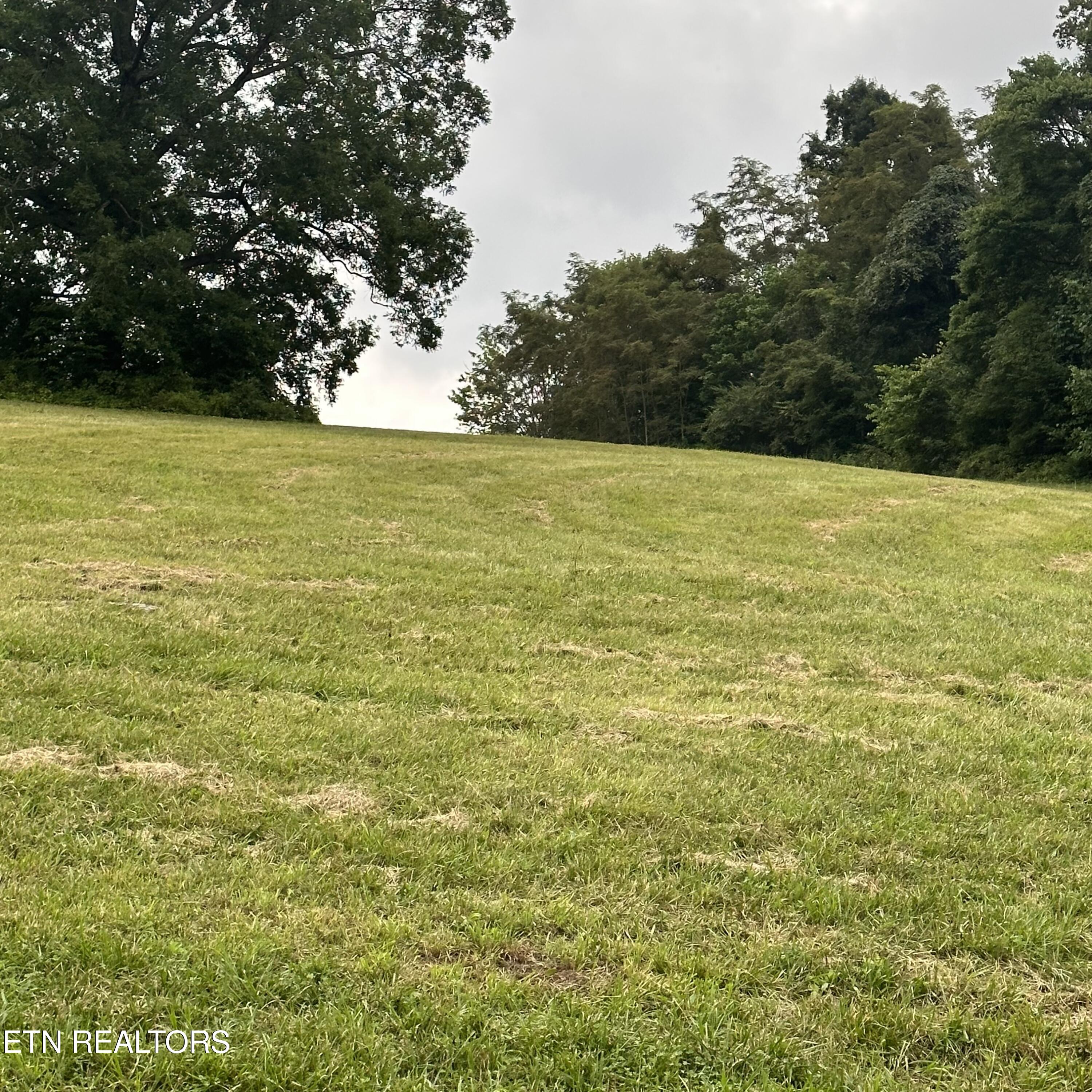 Bob Wright Road Maynardville TN 37807