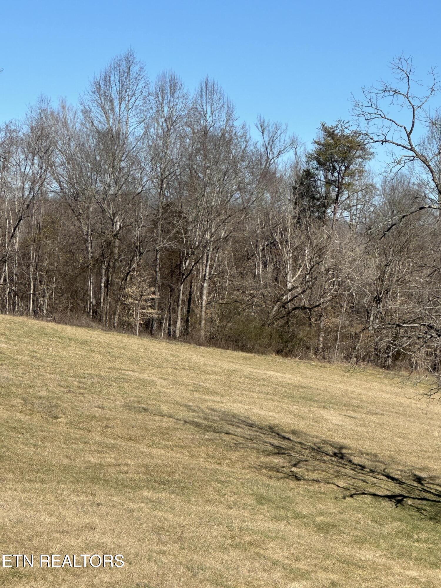 Bob Wright Road Maynardville TN 37807