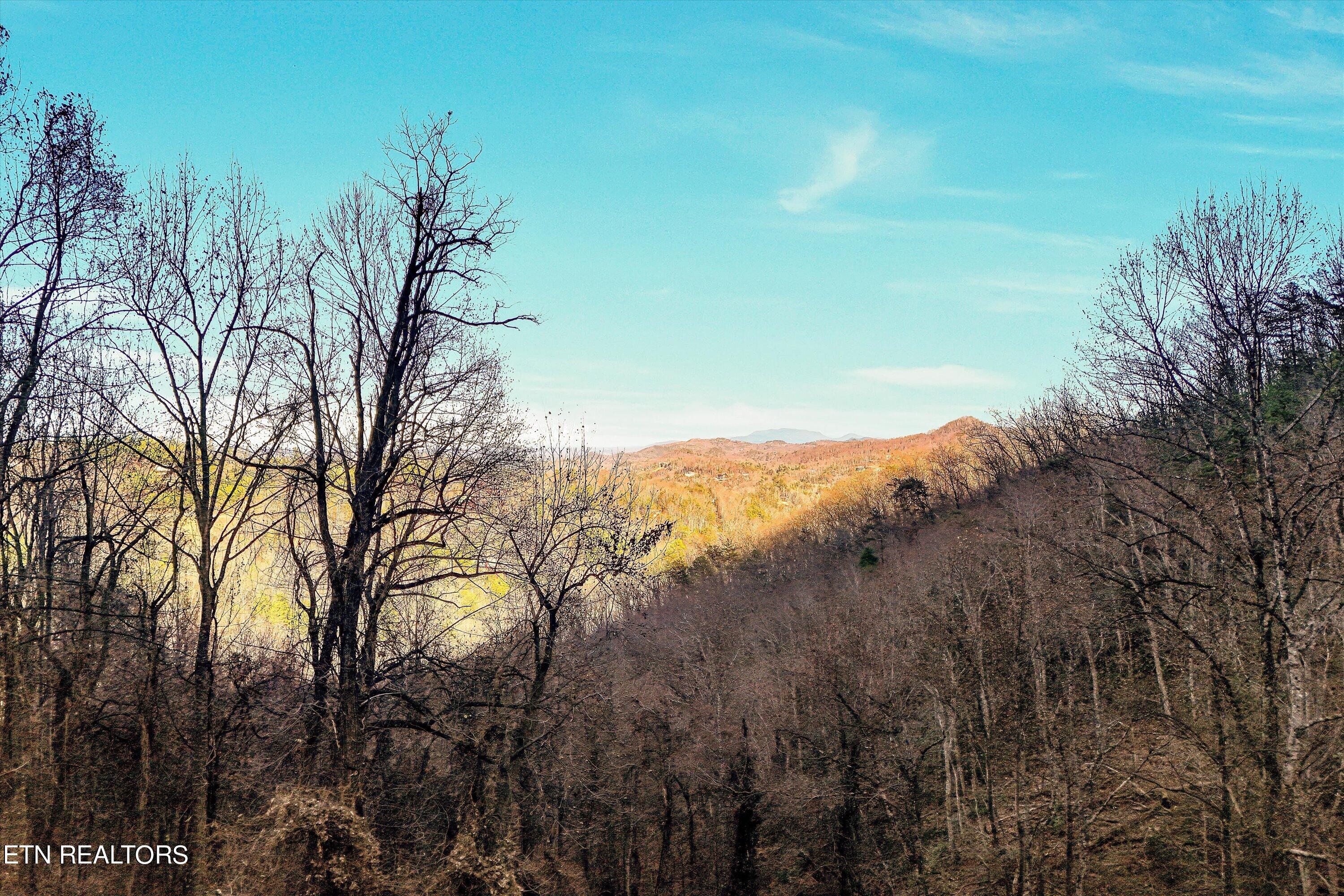 Lots 6,7 Balsam Slopes Road Sevierville TN 37862