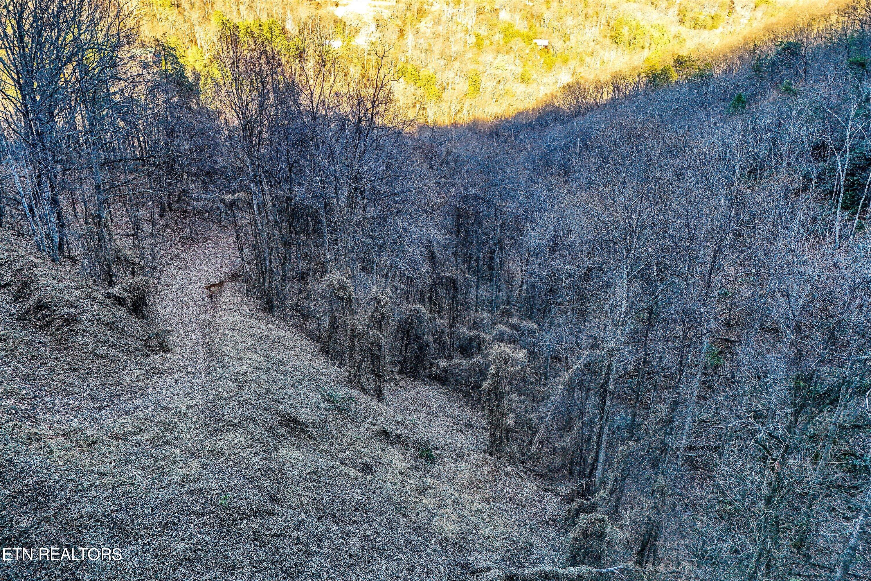 Lots 6,7 Balsam Slopes Road Sevierville TN 37862