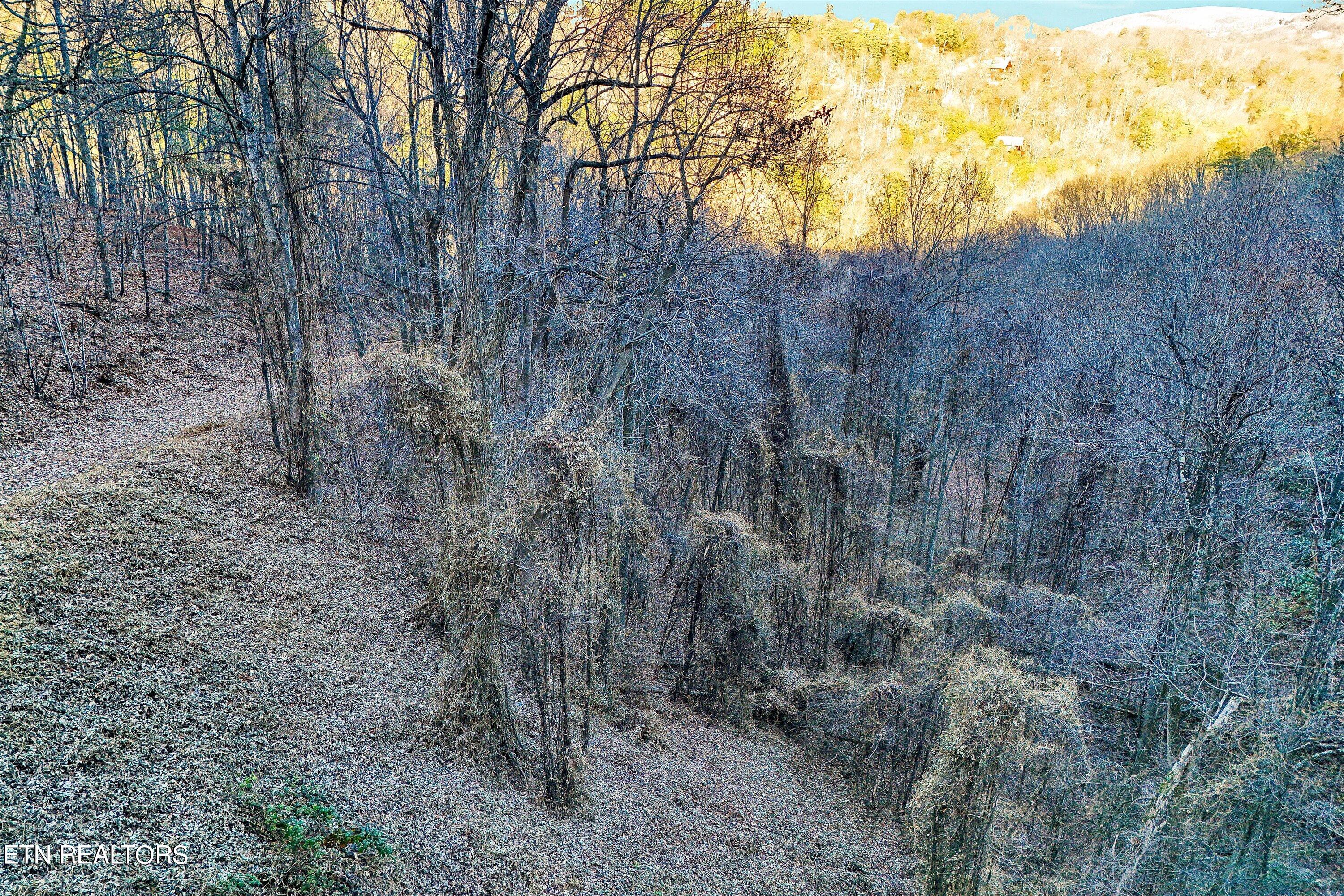 Lots 6,7 Balsam Slopes Road Sevierville TN 37862