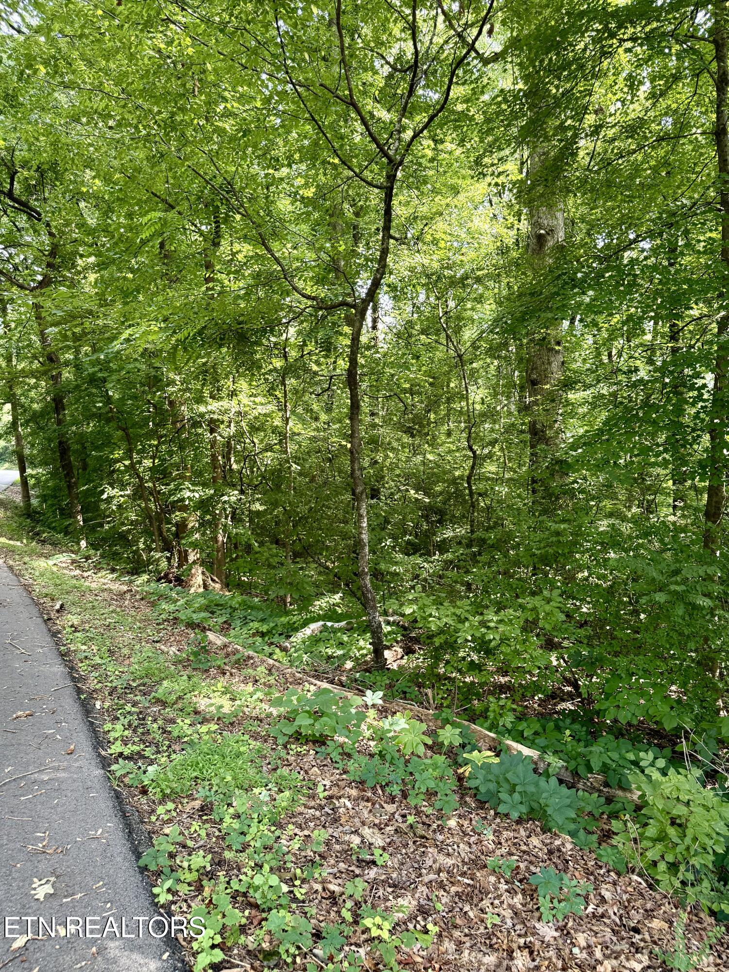0 Edgewood Drive Sweetwater TN 37874