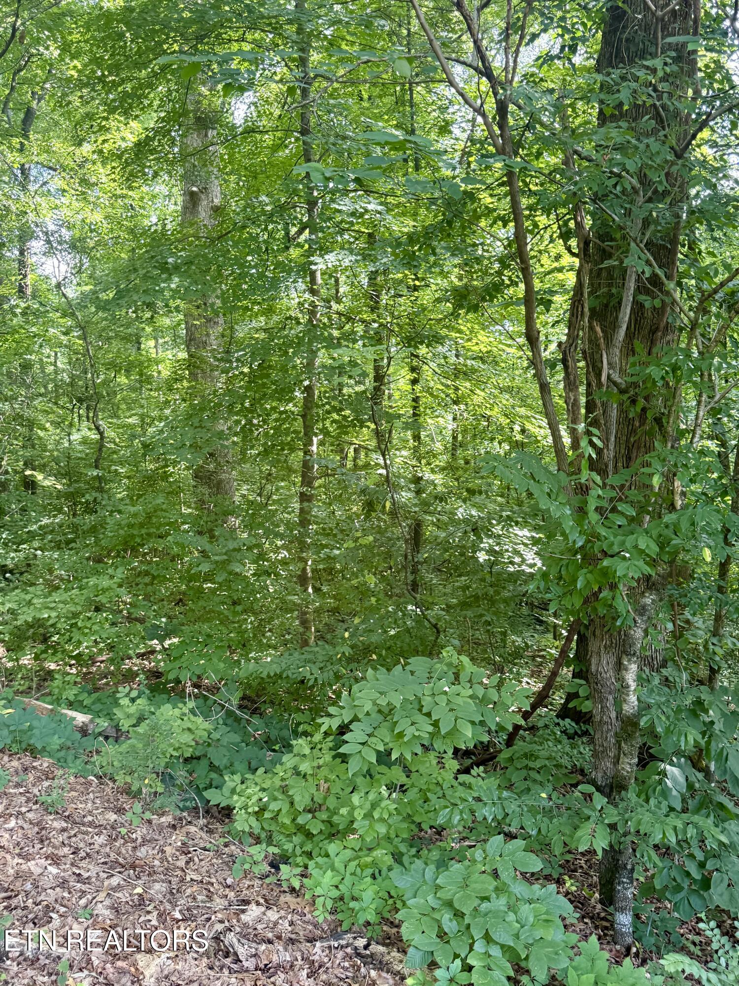0 Edgewood Drive Sweetwater TN 37874