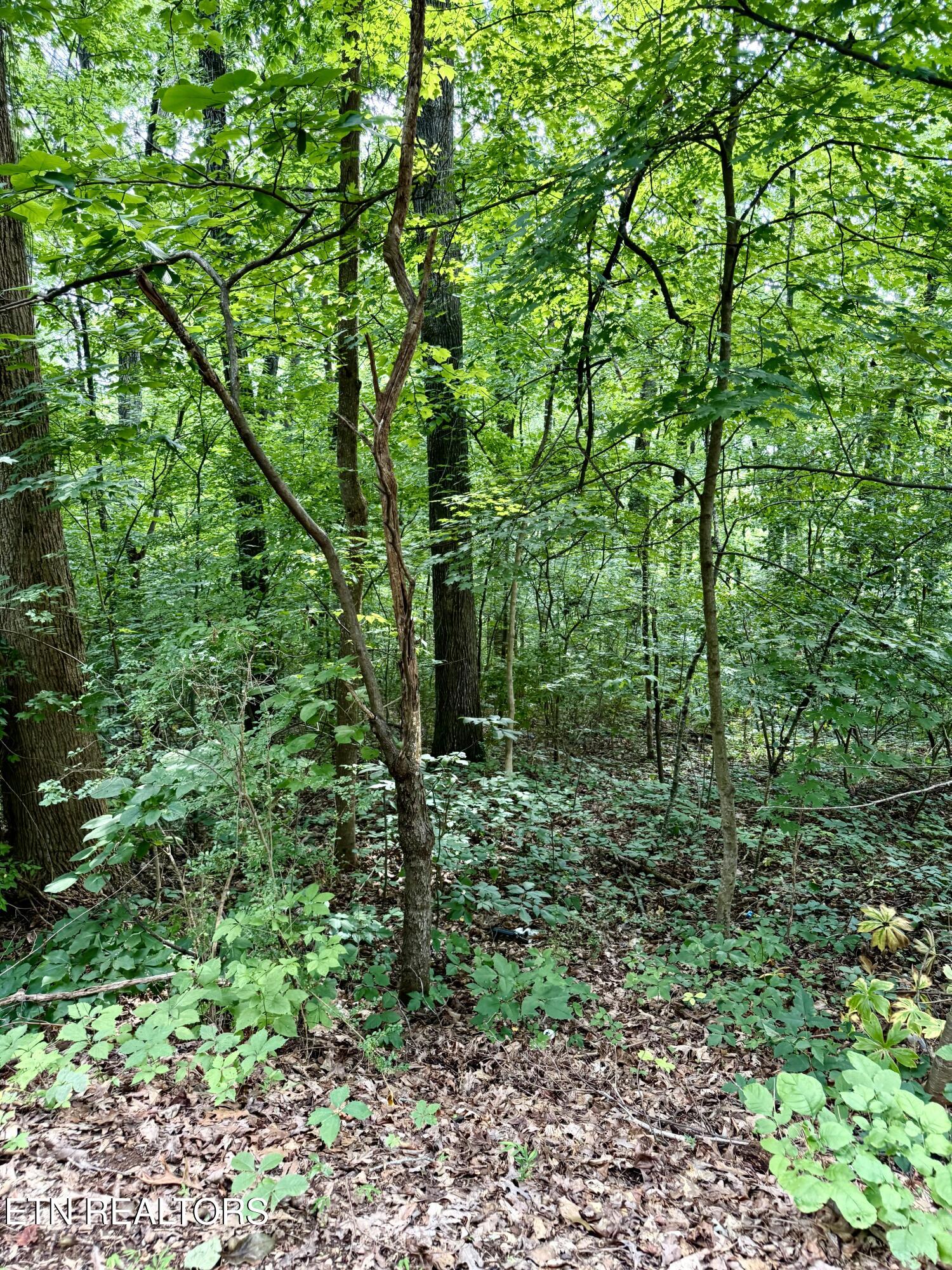 0 Edgewood Drive Sweetwater TN 37874