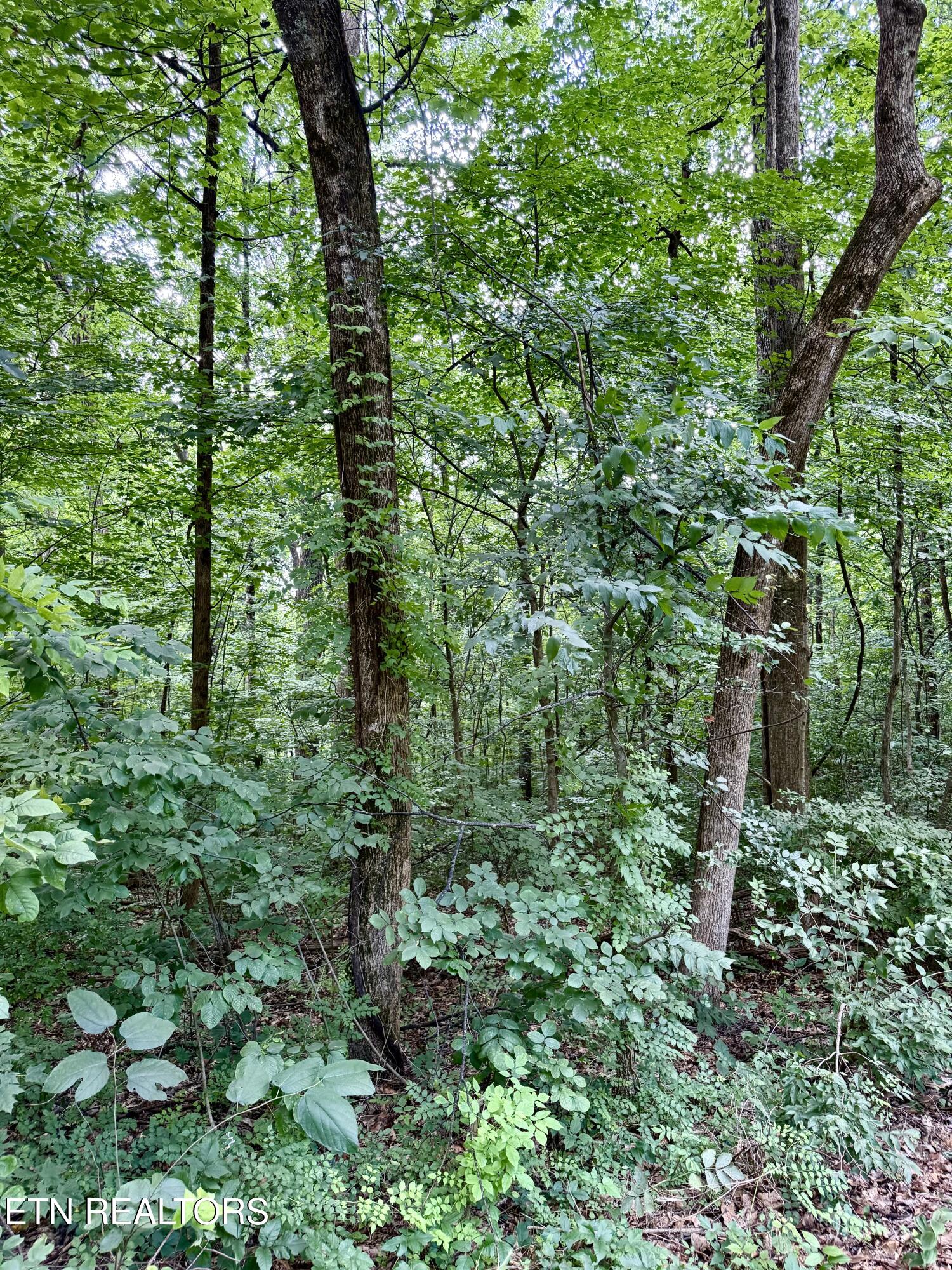 0 Edgewood Drive Sweetwater TN 37874