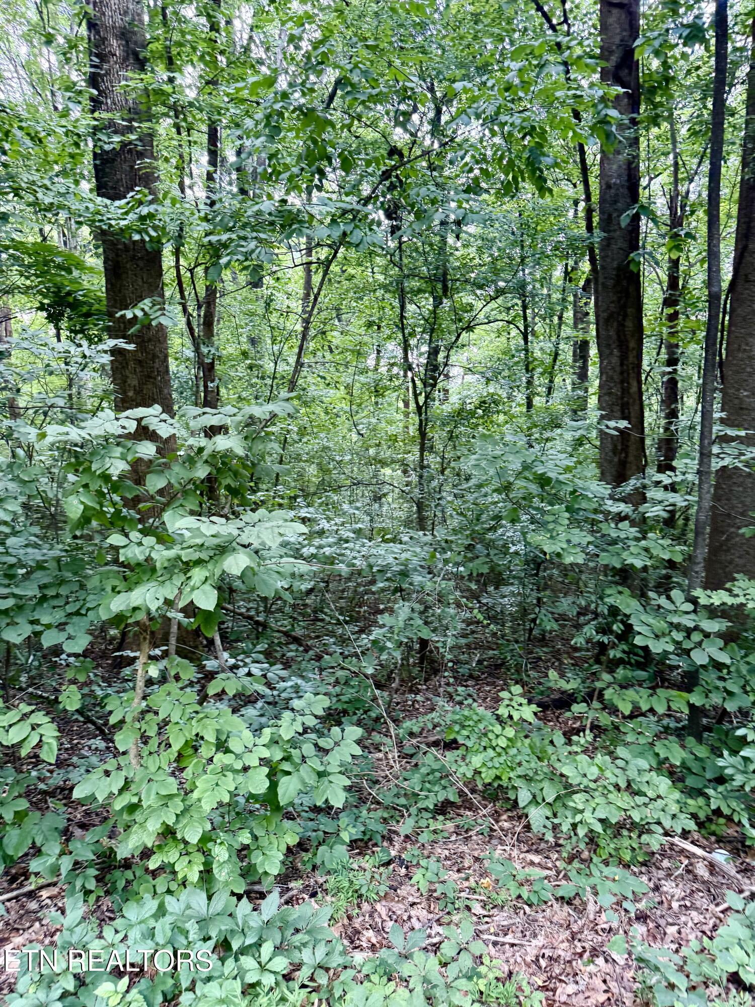 0 Edgewood Drive Sweetwater TN 37874