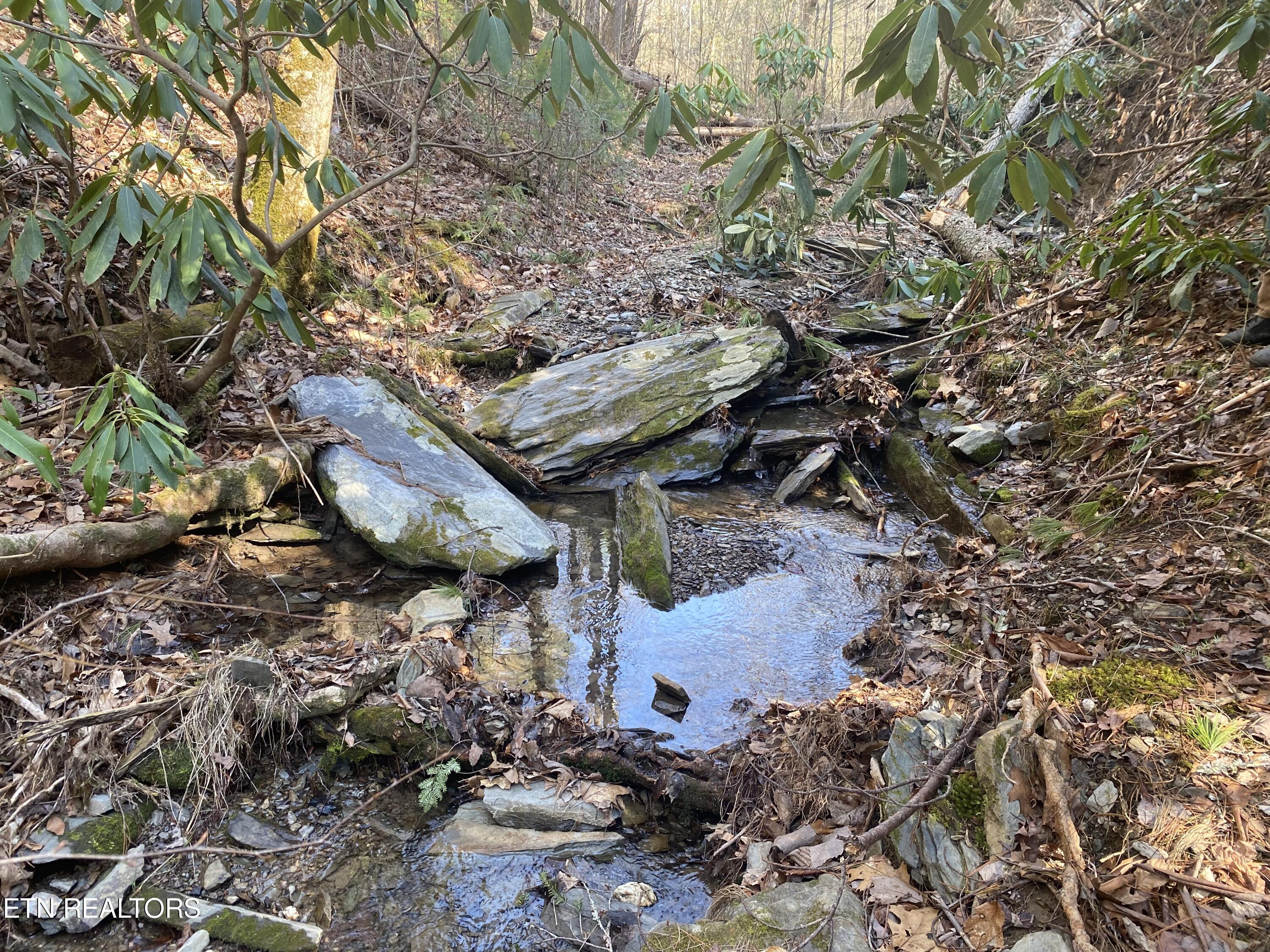 57.09 Acs Rafter Road Tellico Plains TN 37385