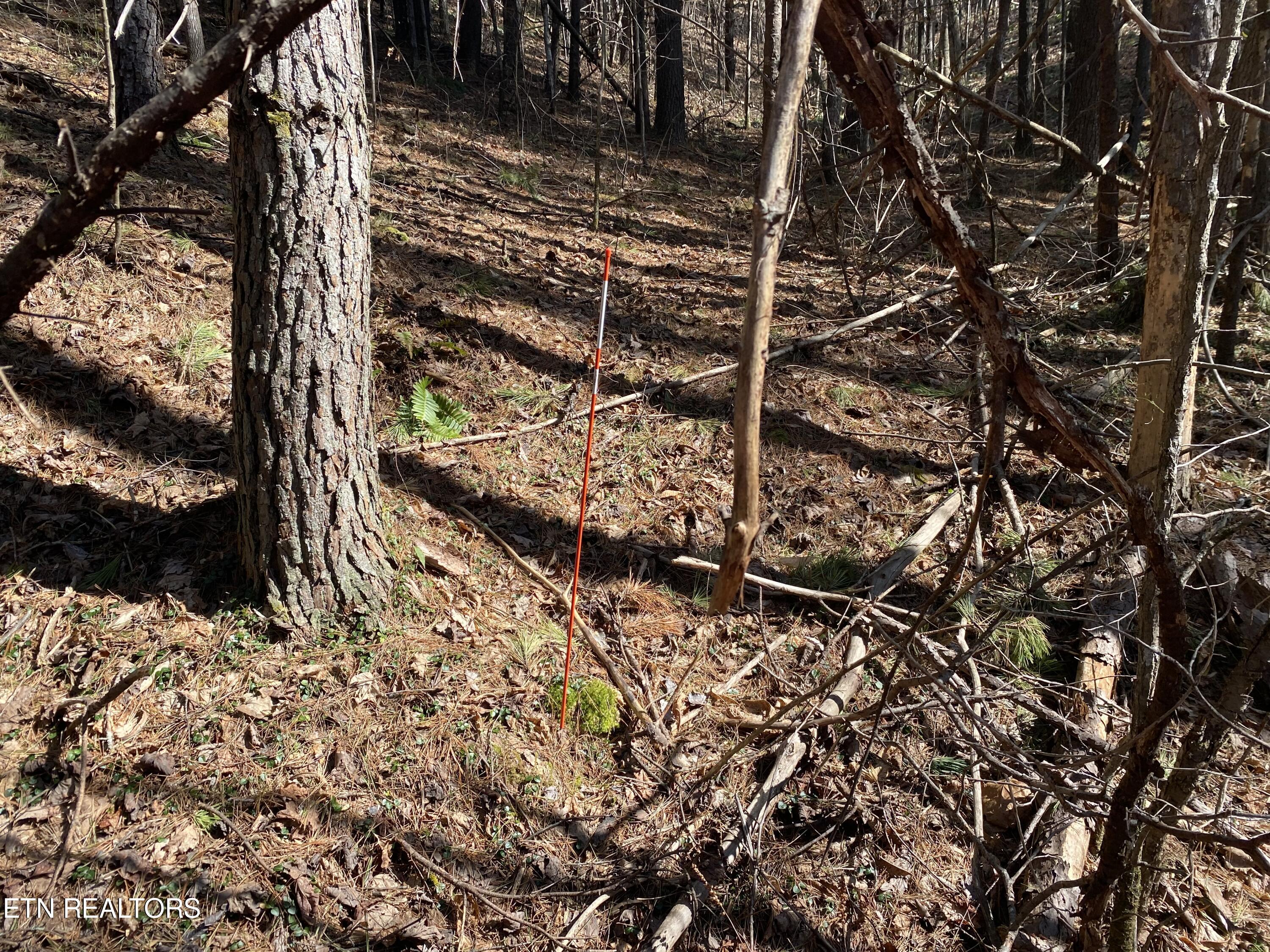 57.09 Acs Rafter Road Tellico Plains TN 37385